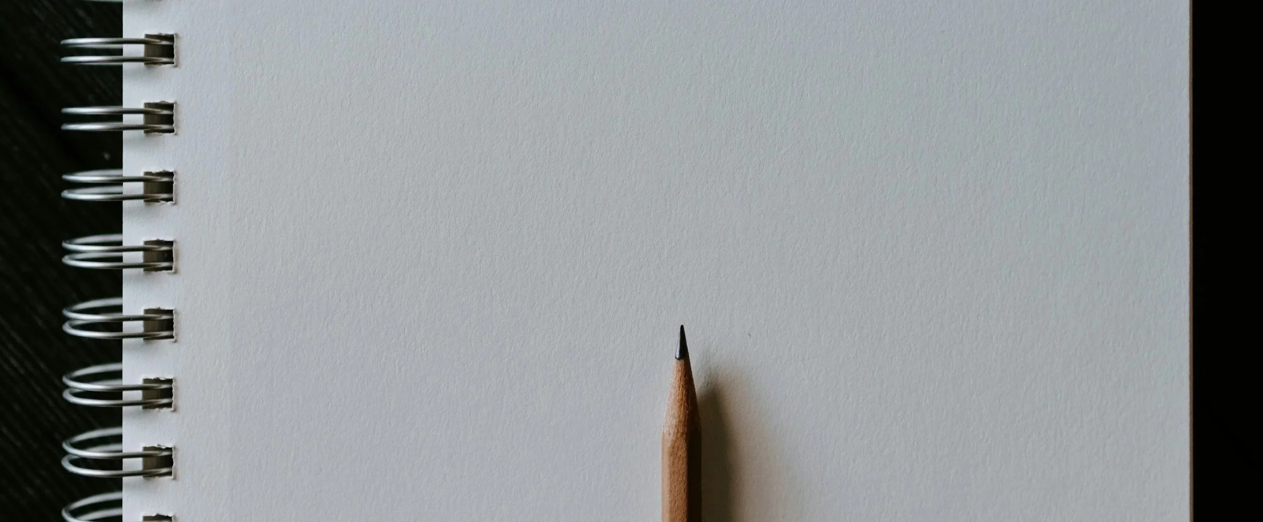 The Thinking Hand: An Introduction to the Language of Drawing for Kids