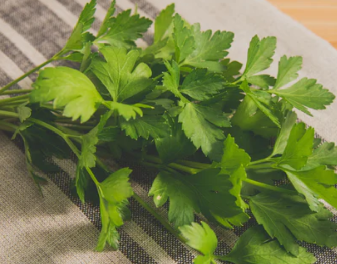 Parsley: Don't overlook the Parsley! 🌿 This kitchen staple is hitting the seed trays this February. It takes its time to germinate (patience is a gardening virtue!), but the reward is a summer-long supply of fresh flavor. It’s a biennial beauty that