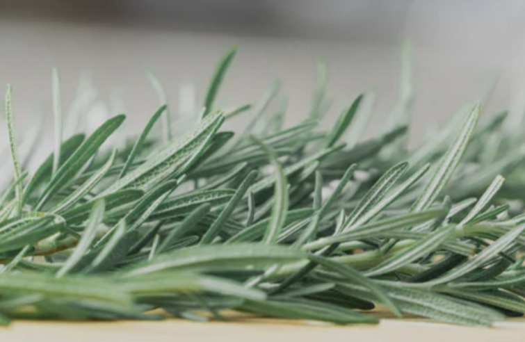 Rosemary: Nothing elevates a kitchen quite like the piney scent of fresh Rosemary. 🌿 It’s one of the slower seeds to get moving, so patience is key, but the payoff is legendary. Whether you're growing it for the kitchen or just for that incredible '