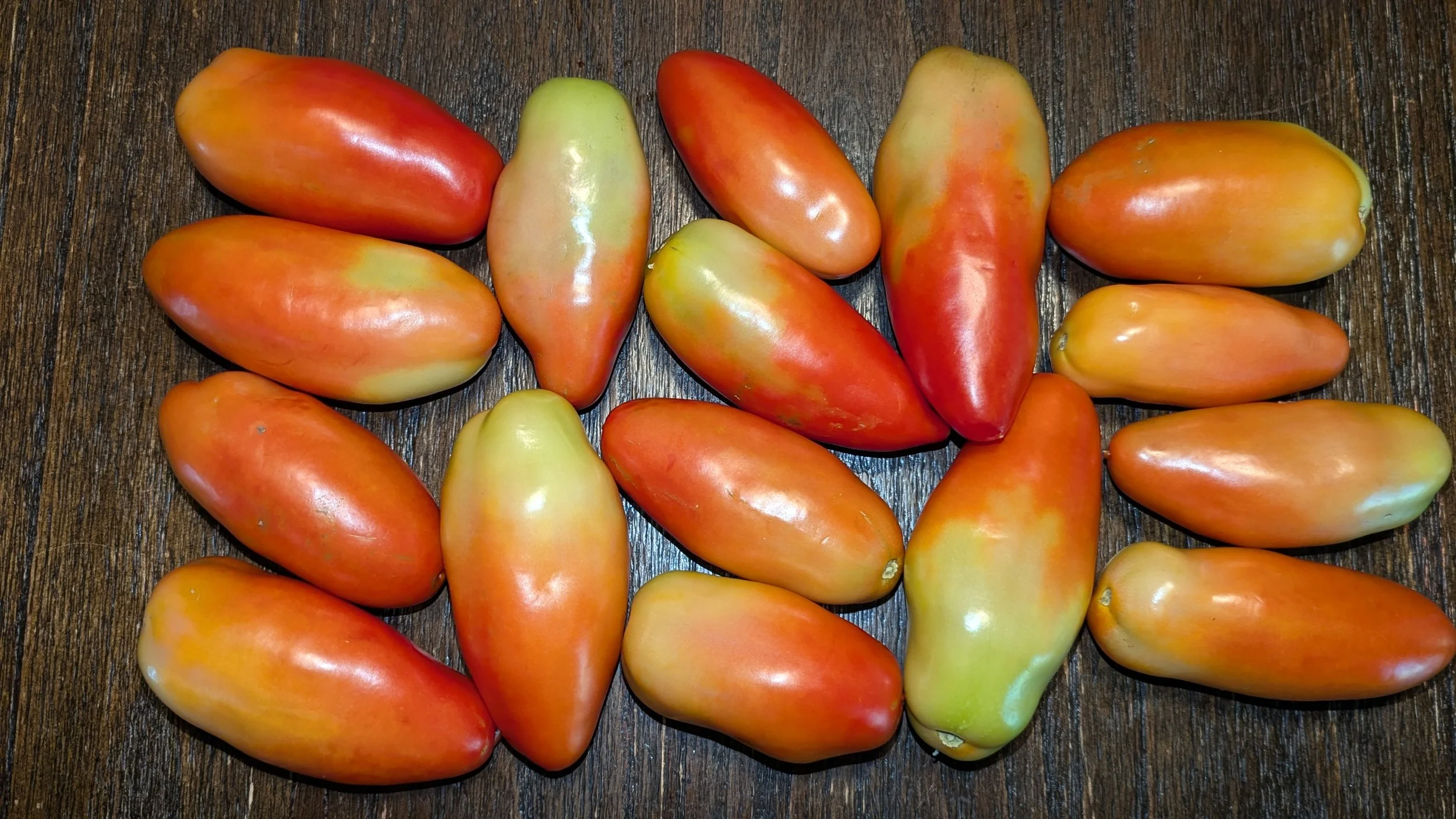 From Seedling to Sauce: My Favorite Tried-and-True Tomato Varieties
