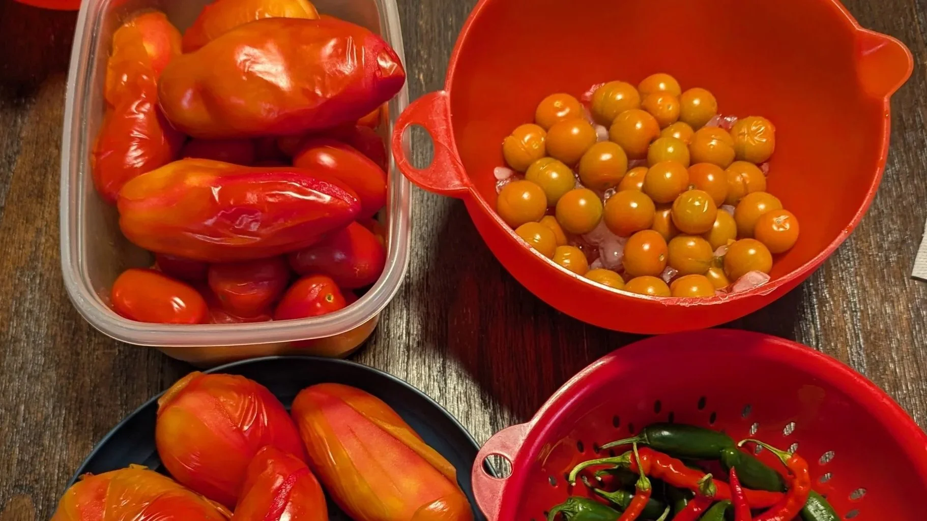 Rich &amp; Silky: Easy Fresh Tomato Sauce Recipe (Beginner Friendly)