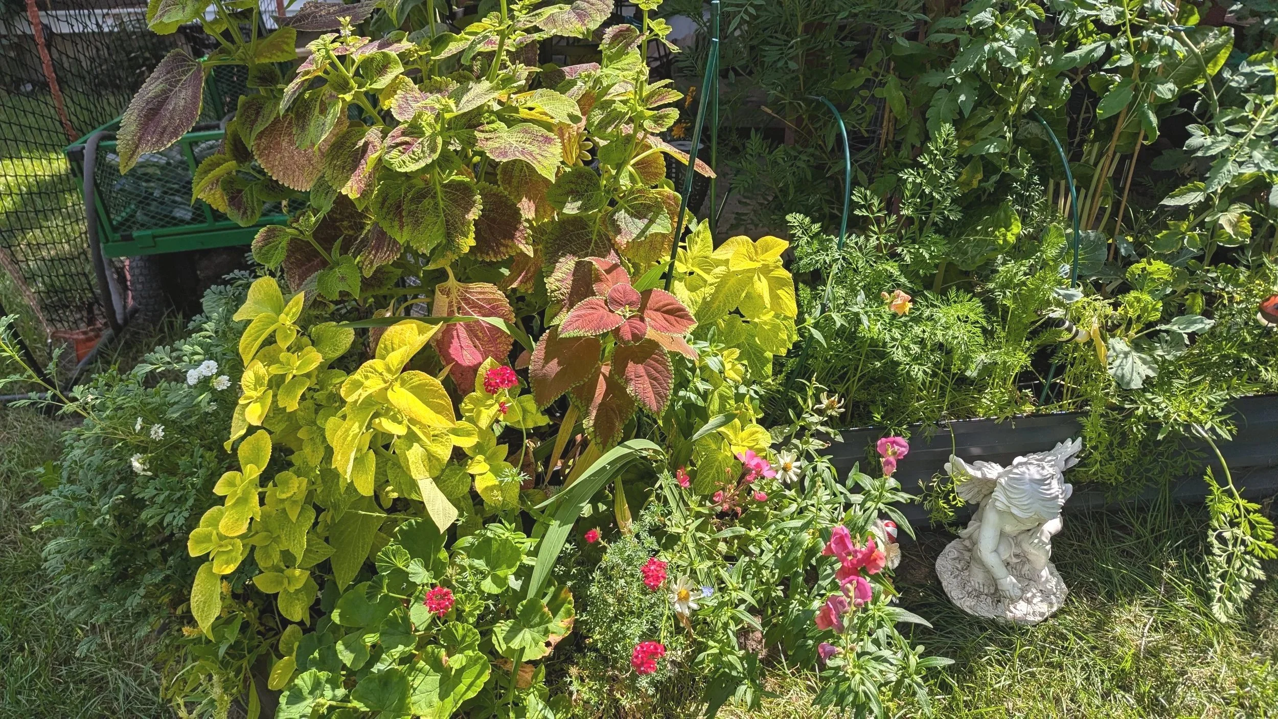 Reflecting on the Season: Wins, Challenges, and Savoring the Slower Days
