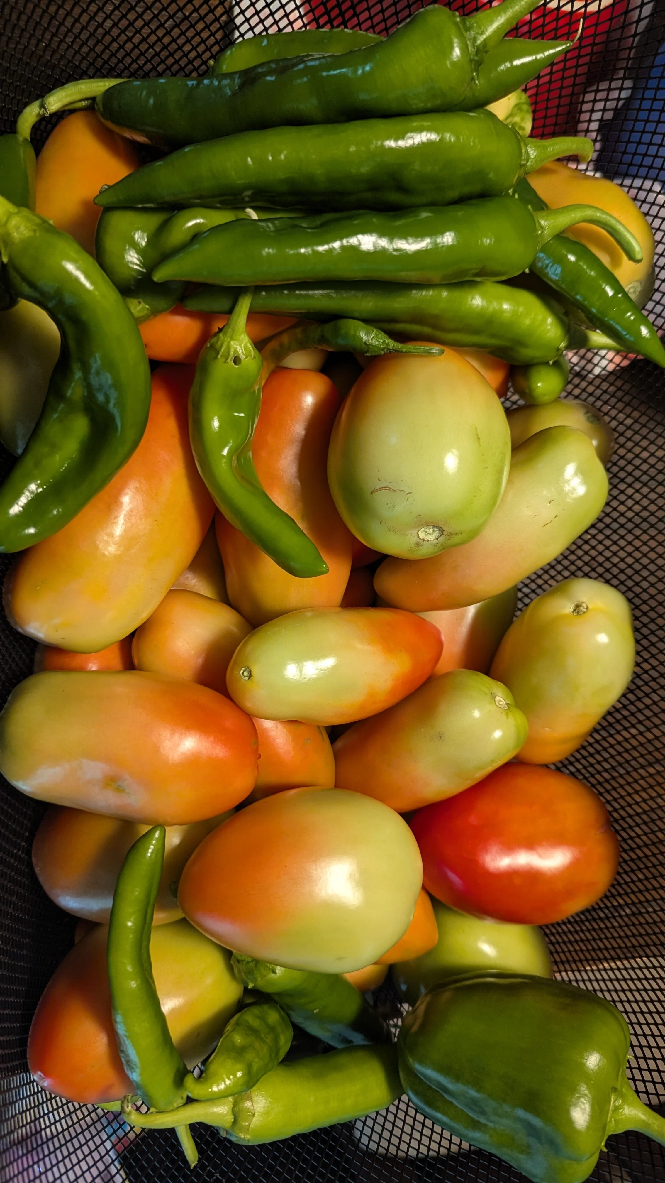Paste Tomatoes, Jalapenos, Pepperoncini