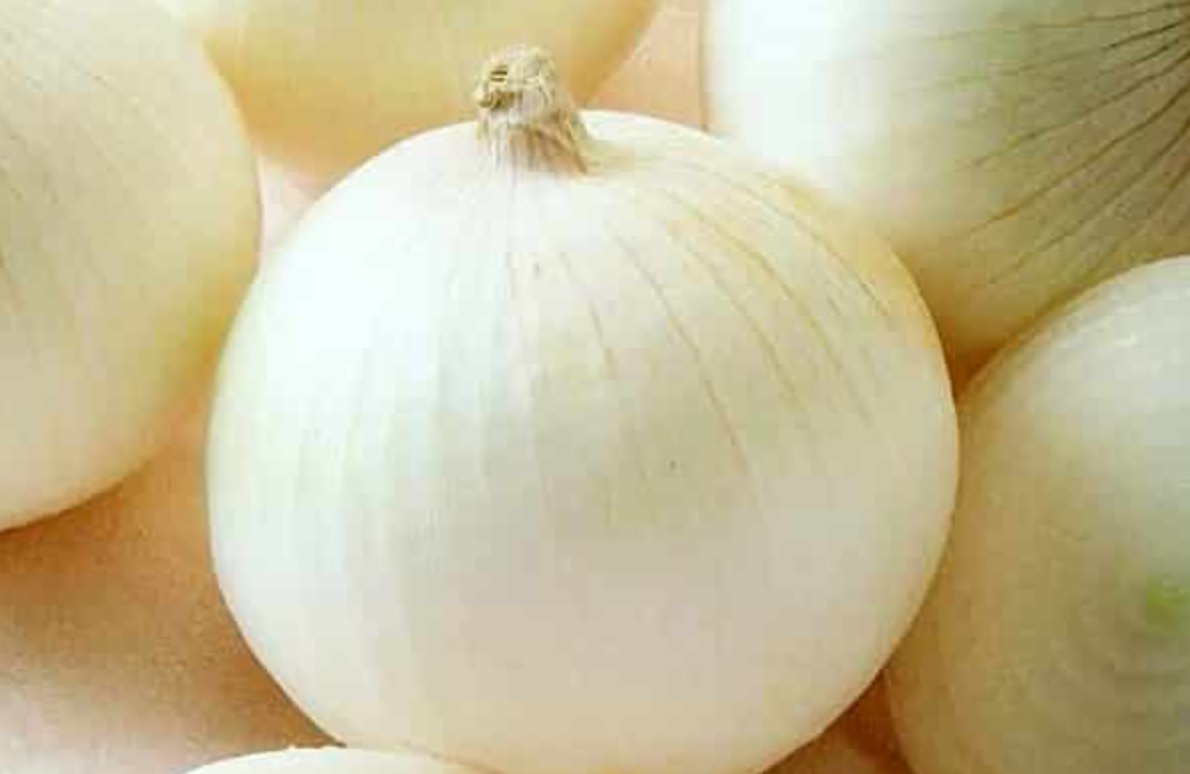 Onions: Onions are the ultimate "marathon" crop. Because they take quite a while to develop sturdy bulbs, starting them from seed in January is a game-changer. Right now, they’ll just look like delicate little blades of grass under the grow lights, b