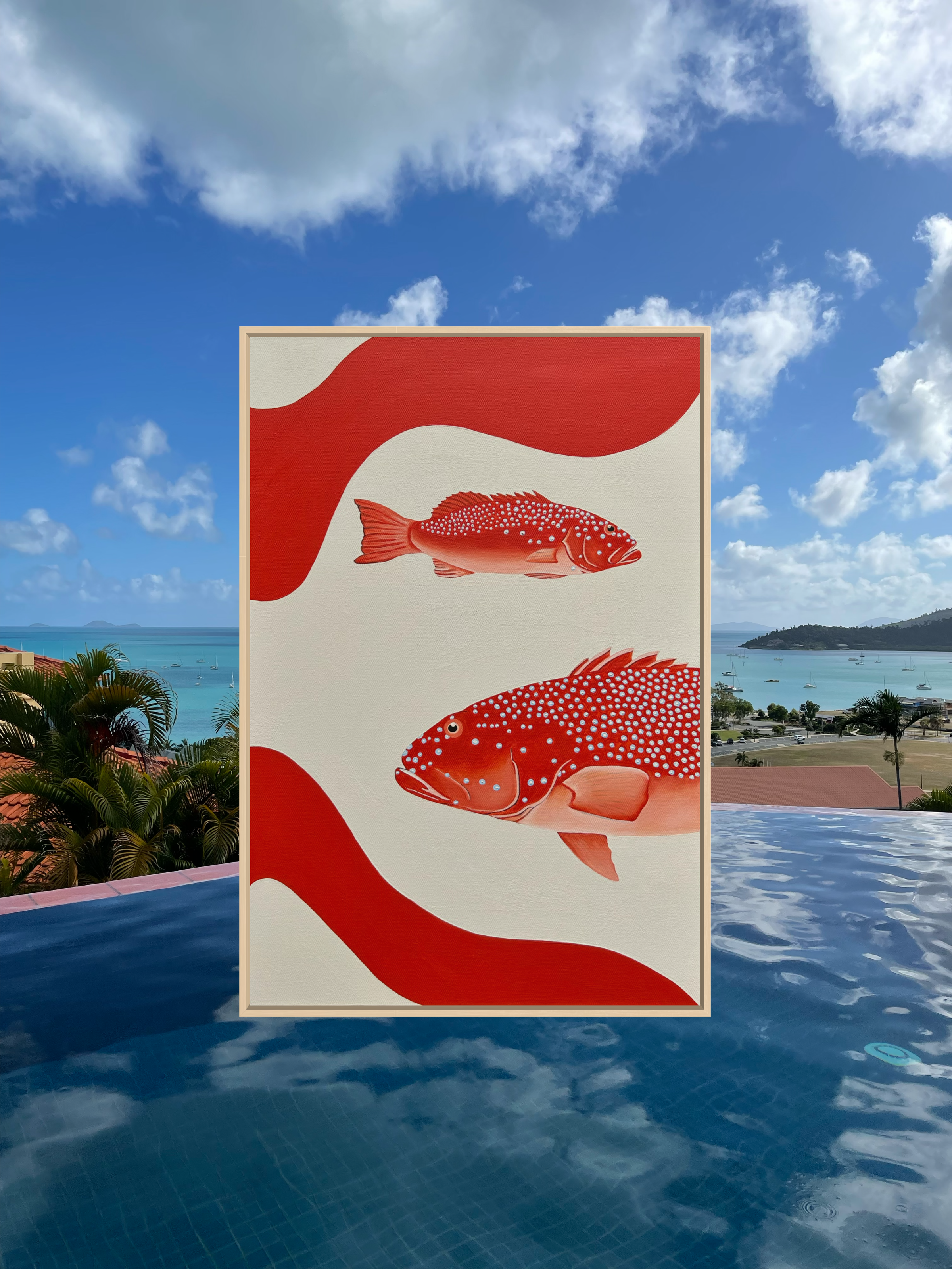 The Coral Trout