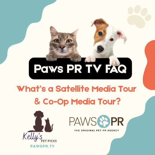  FAQ: What Is a Satellite Media Tour (SMT) and Co-Op TV Segment?