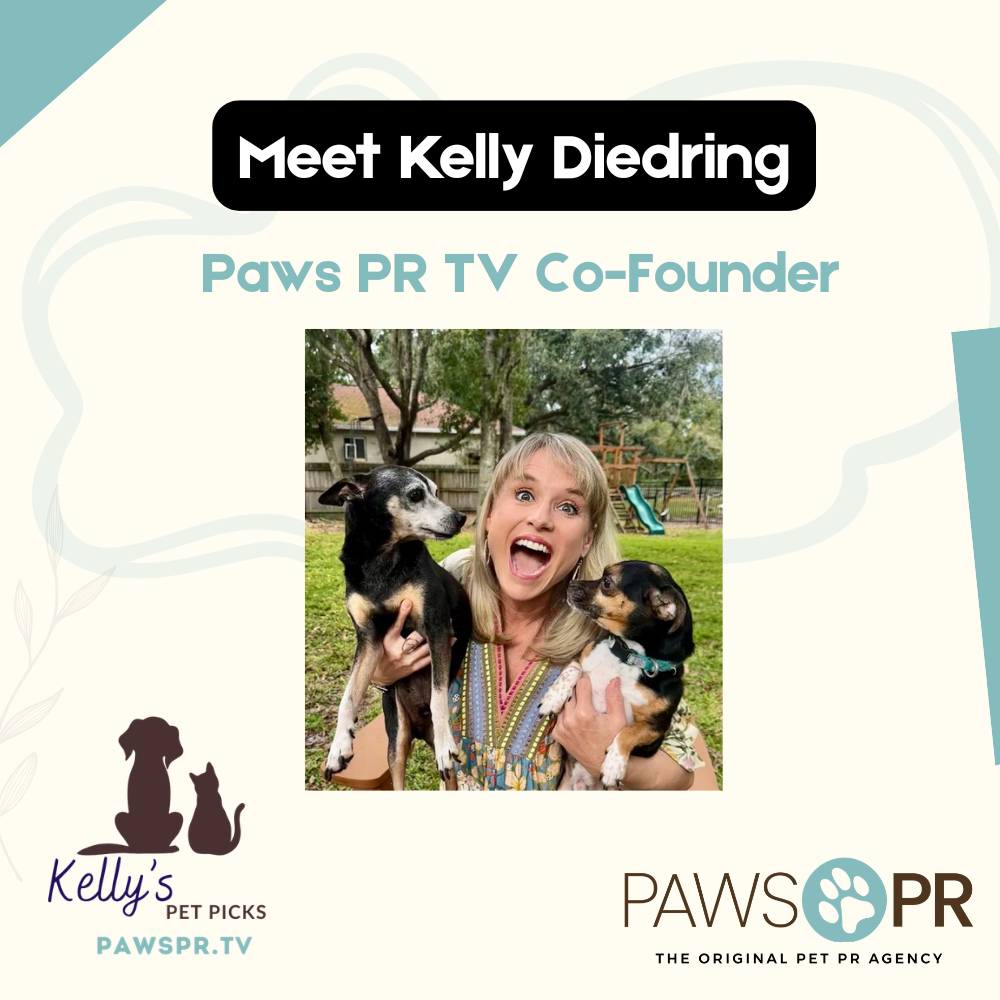 Meet the On-Air Host of Paws PR TV: A Q&amp;A with Kelly Diedring