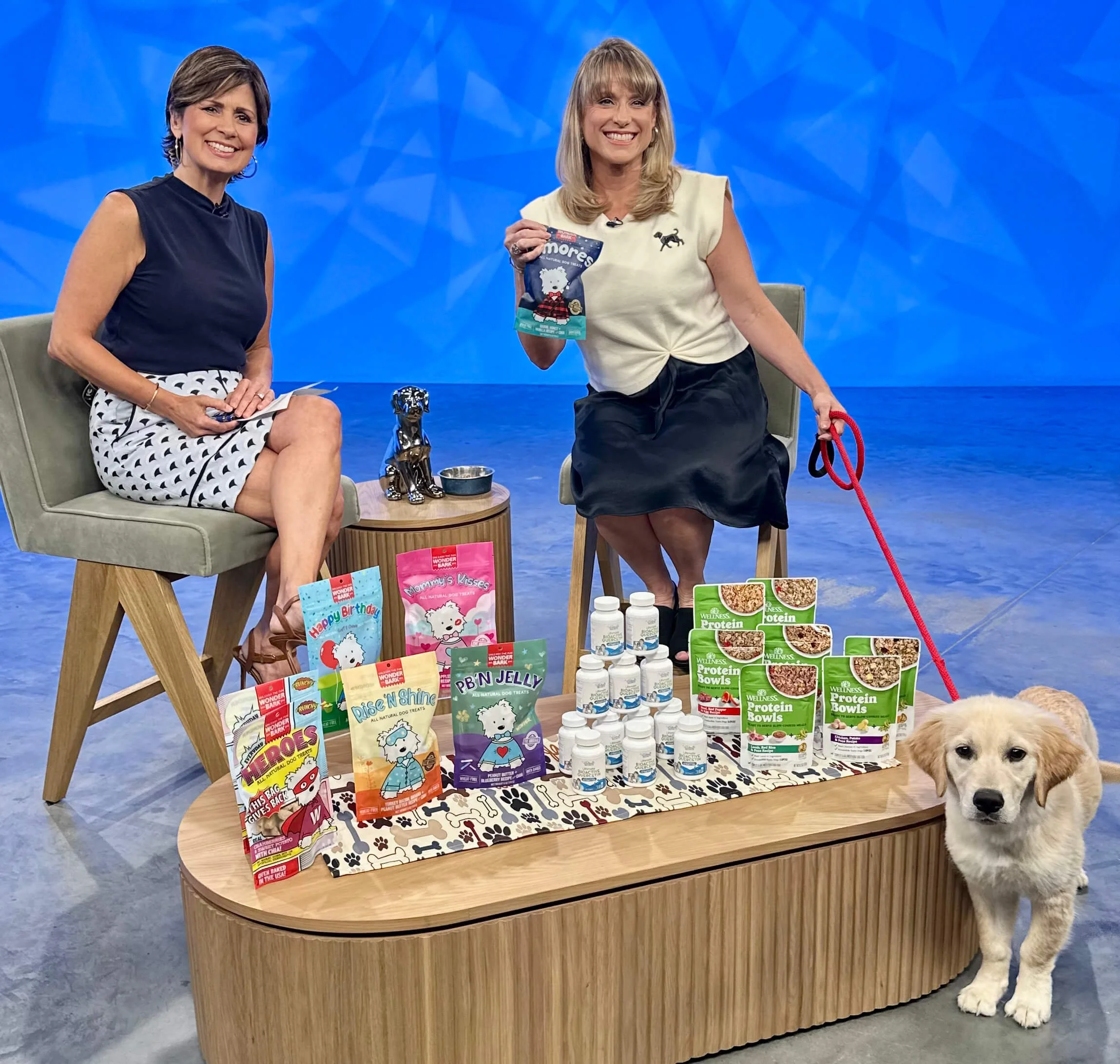 Kelly Diedring for Paws PR TV Selling Pet Products