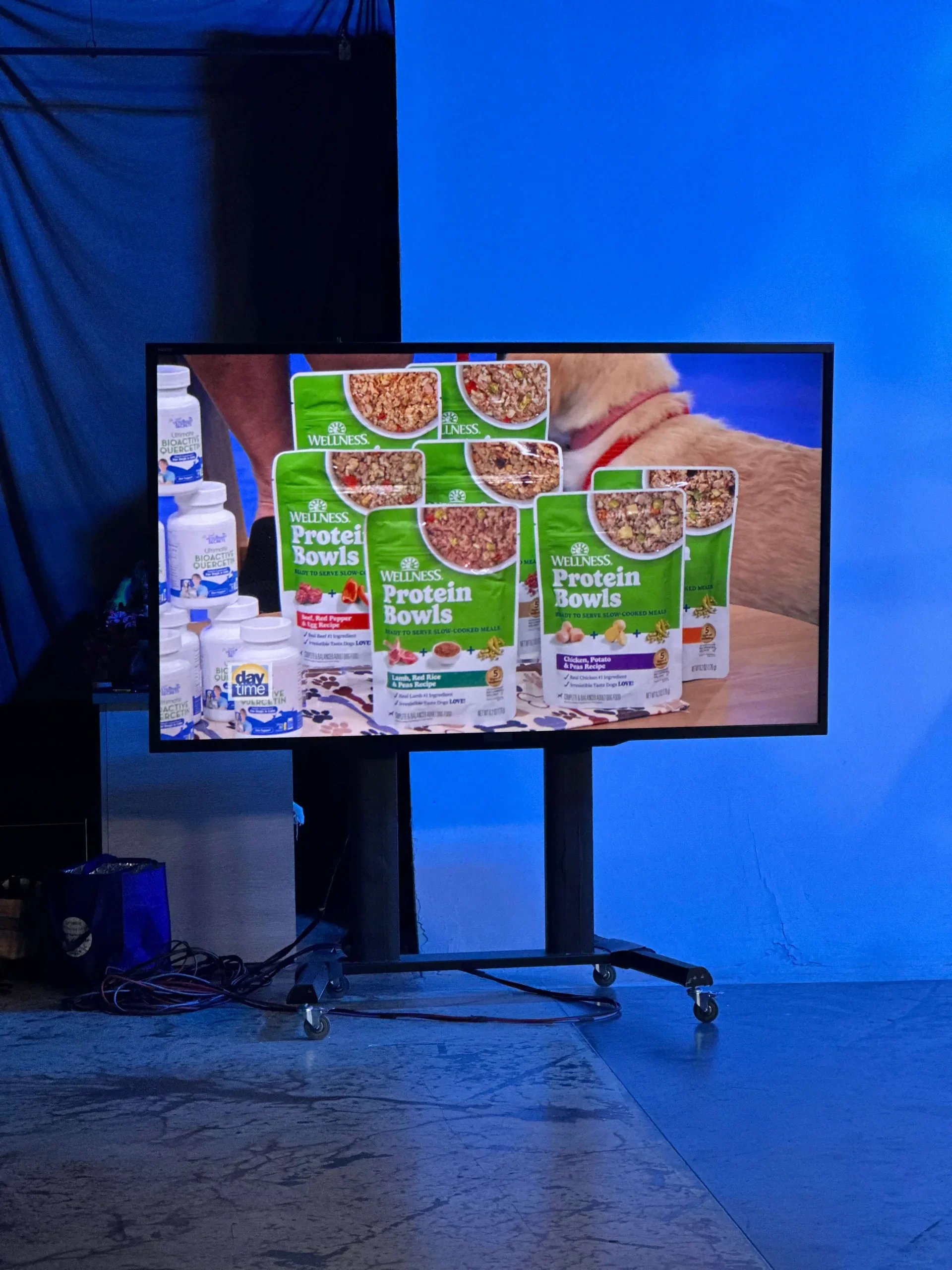 Image of wellness pet food and other pet products on the set for paws pr tv