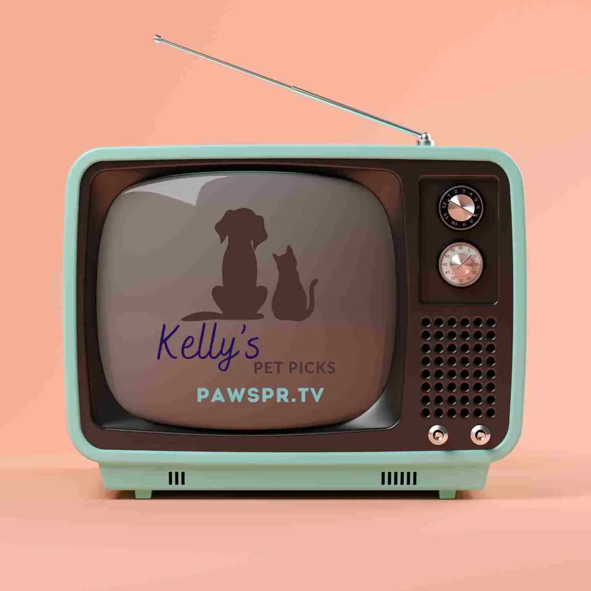 Paws PR TV logo on a vintage TV