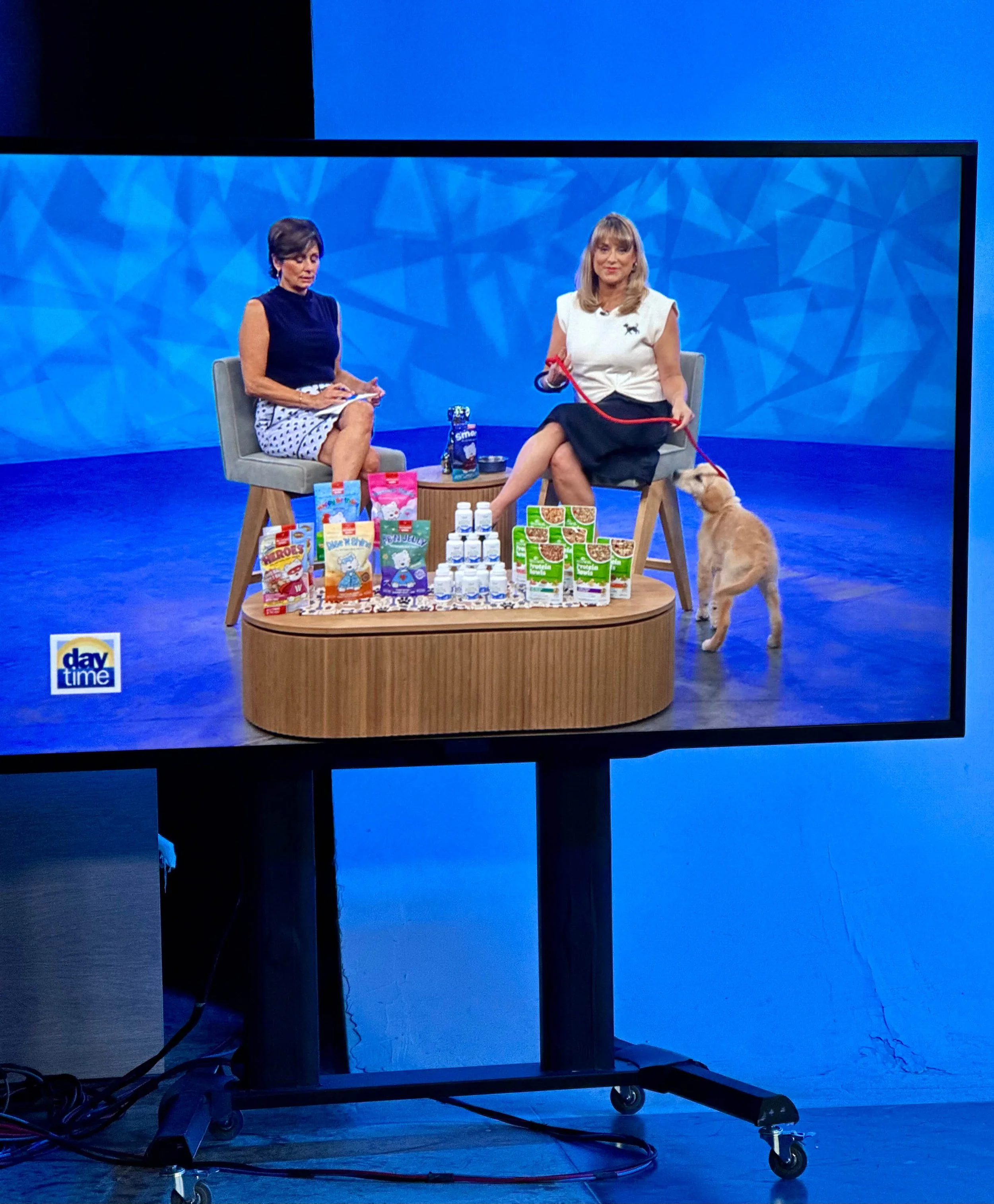 Pet PR Agency For Pet Food Paws PR on Air for Paws PR TV