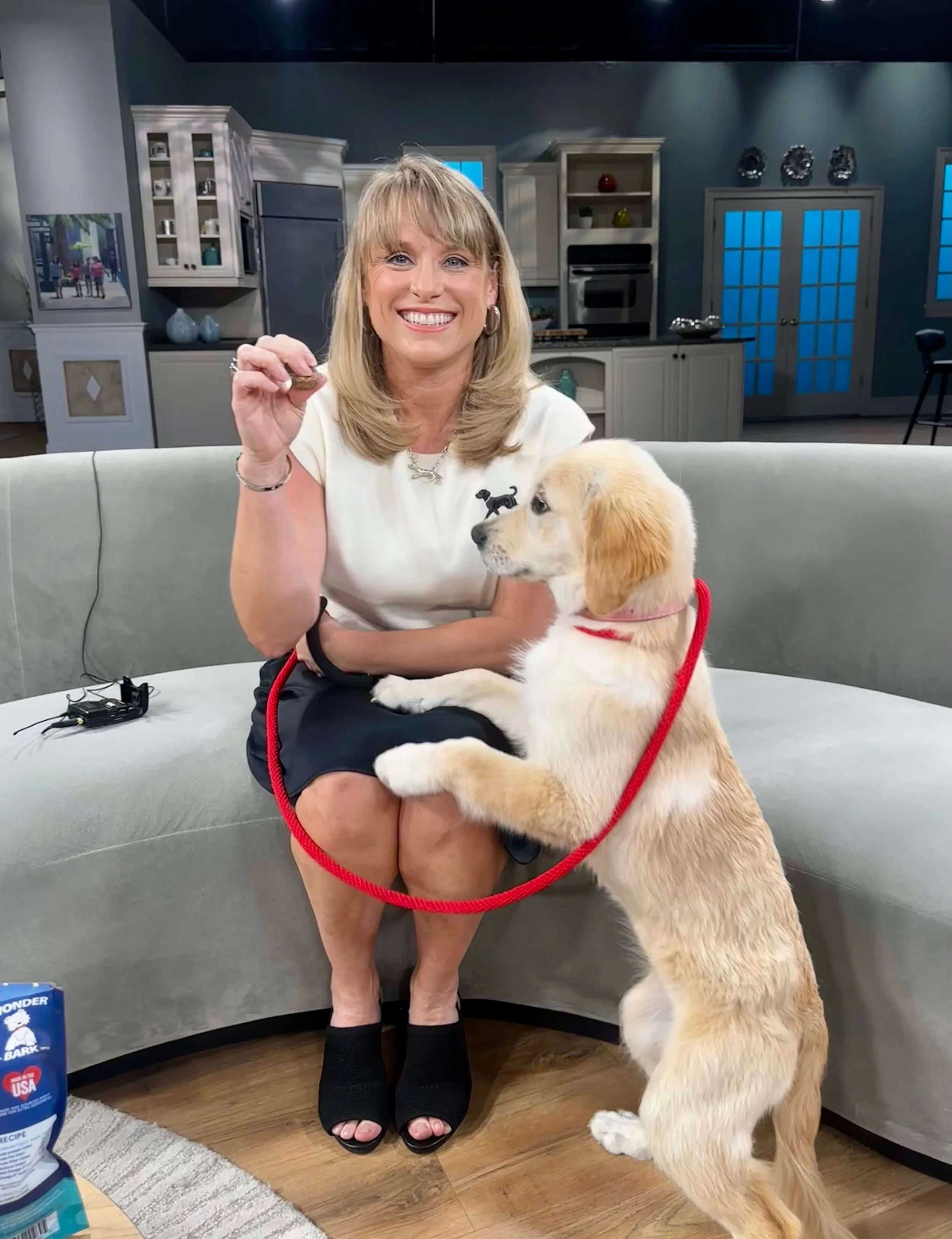 Paws PR TV is a Pet PR Agency