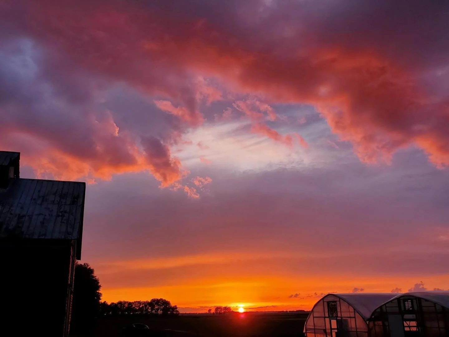 No filter needed on these stunning photos taken by one of our employees, Julie, took after a quick downpour this evening! 

So grateful for the peace and tranquility we have here on the farm 👩&zwj;🌾 

#smallfarm #illinoisfarm #watseka #kankakee #ir