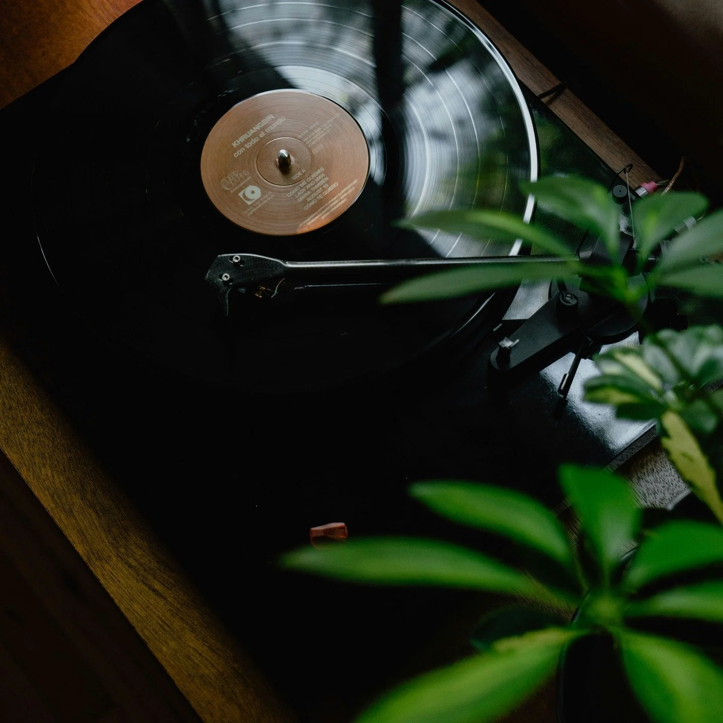 I&rsquo;ve decided that in the new year, I want to move through life a little more like we did in the 90s or early 2000s.

We had technology, sure, but we didn&rsquo;t live inside it.

We went online when we needed to, not as a way to unconsciously a