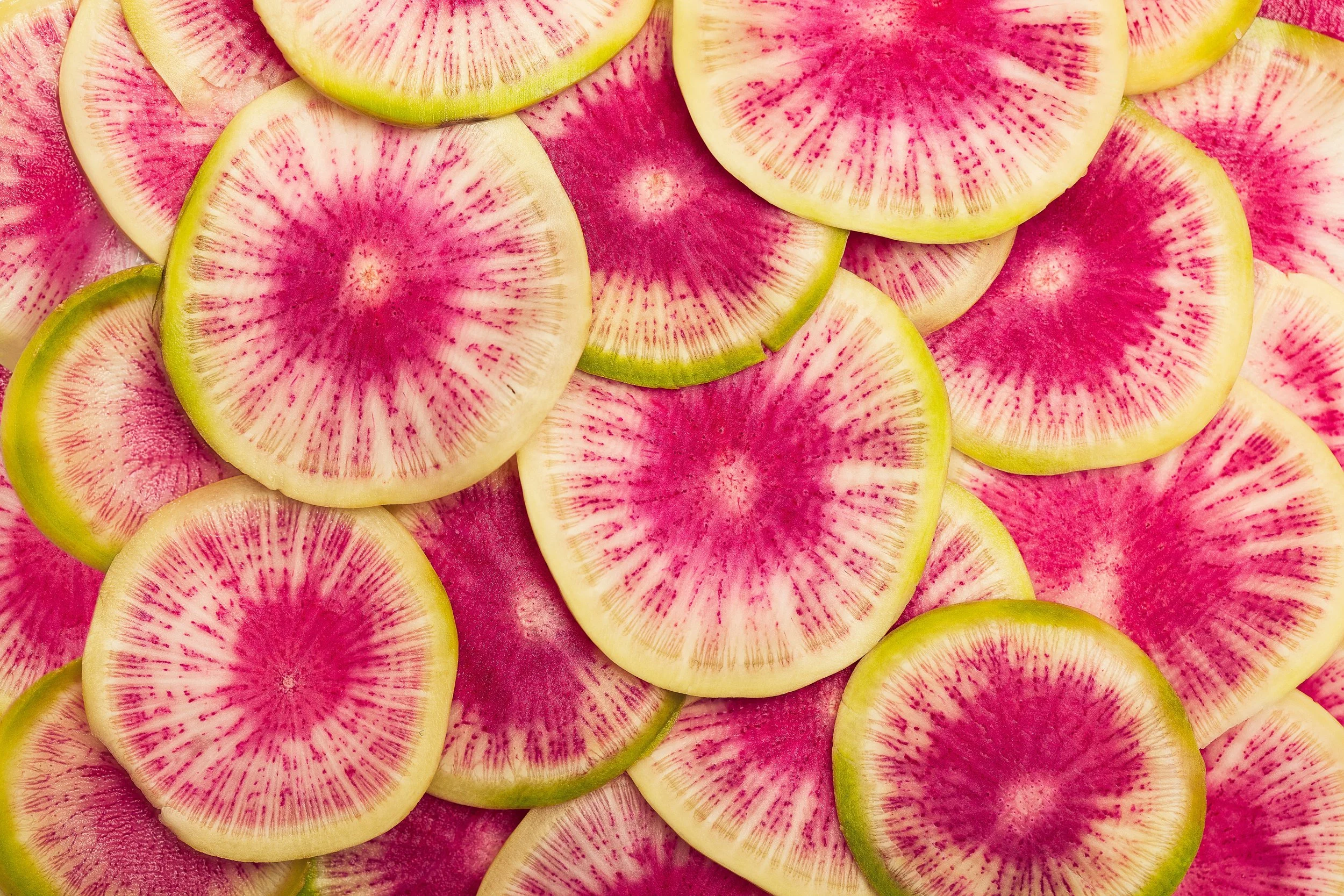 Watermelon Radish and Purple Daikon: Vibrant Root Vegetables for Seasonal Eating