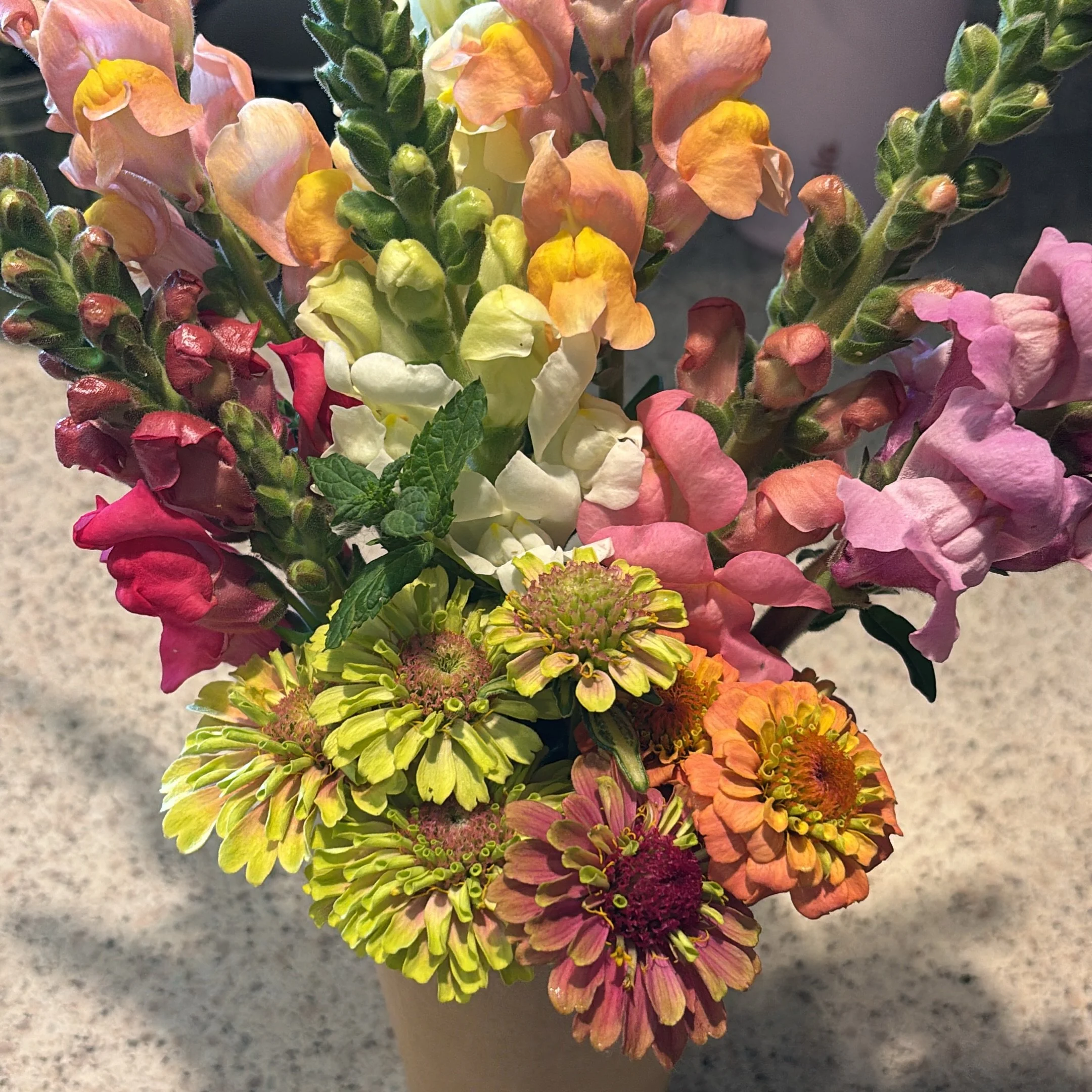 Growing these from seed and watching them turn into beauty then watching others get joy from them is the BEST! 

#smallflowerfarm #flowerfarmer #flowers #bouquet #organicfarming