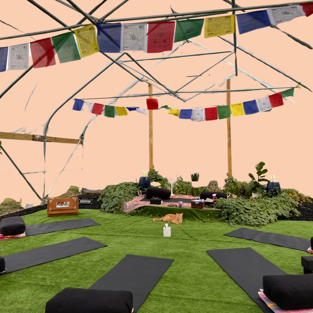 yoga studio in a greenhouse on a farm
