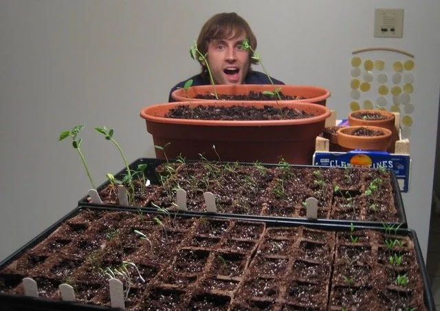 Person with surprised expression standing behind a table of seedling trays and large pots with sprouting plants, indoor gardening setup.