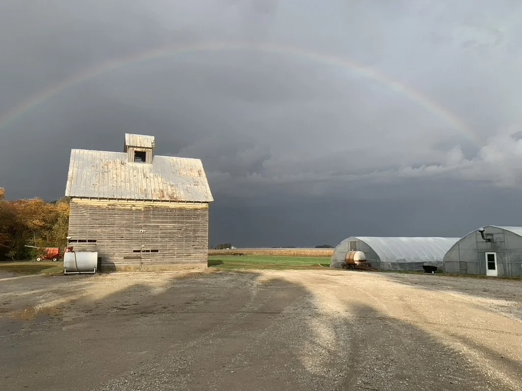 A rustic barn with a small upper window stands on a farm. Two greenhouses are nearby, and a rainbow arches across a dark, cloudy sky.