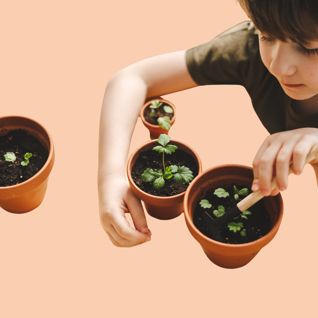 kid making a mini planter of herbs