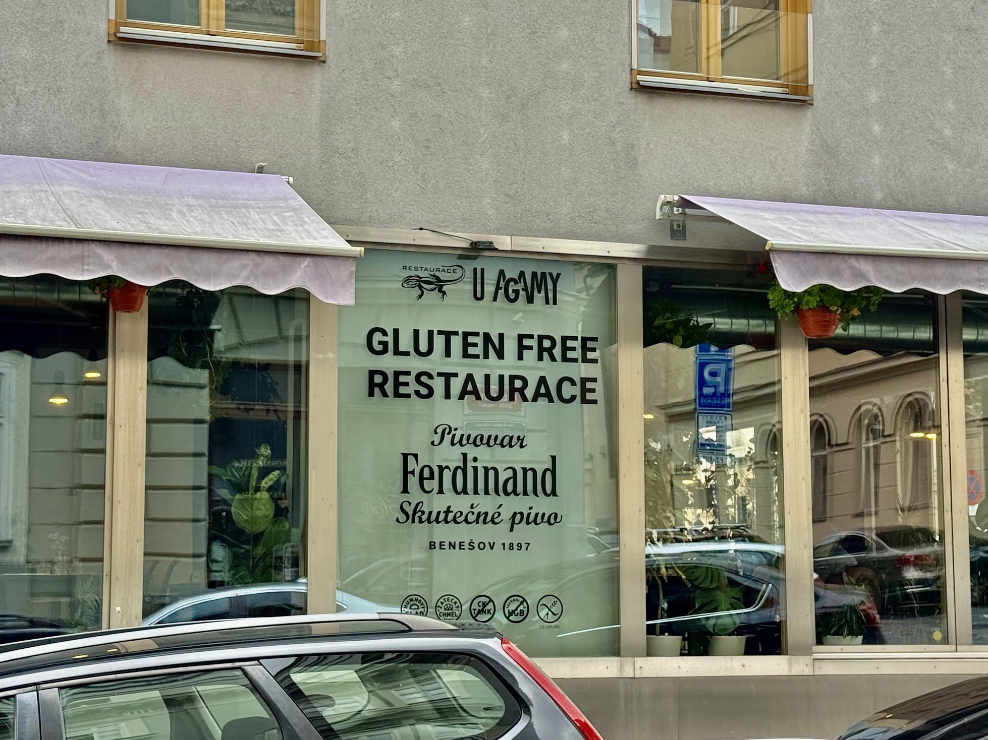 Storefront with signage indicating gluten-free restaurant, featuring green plants, hanging flower pots, and a reflection of buildings and parked cars in the windows.