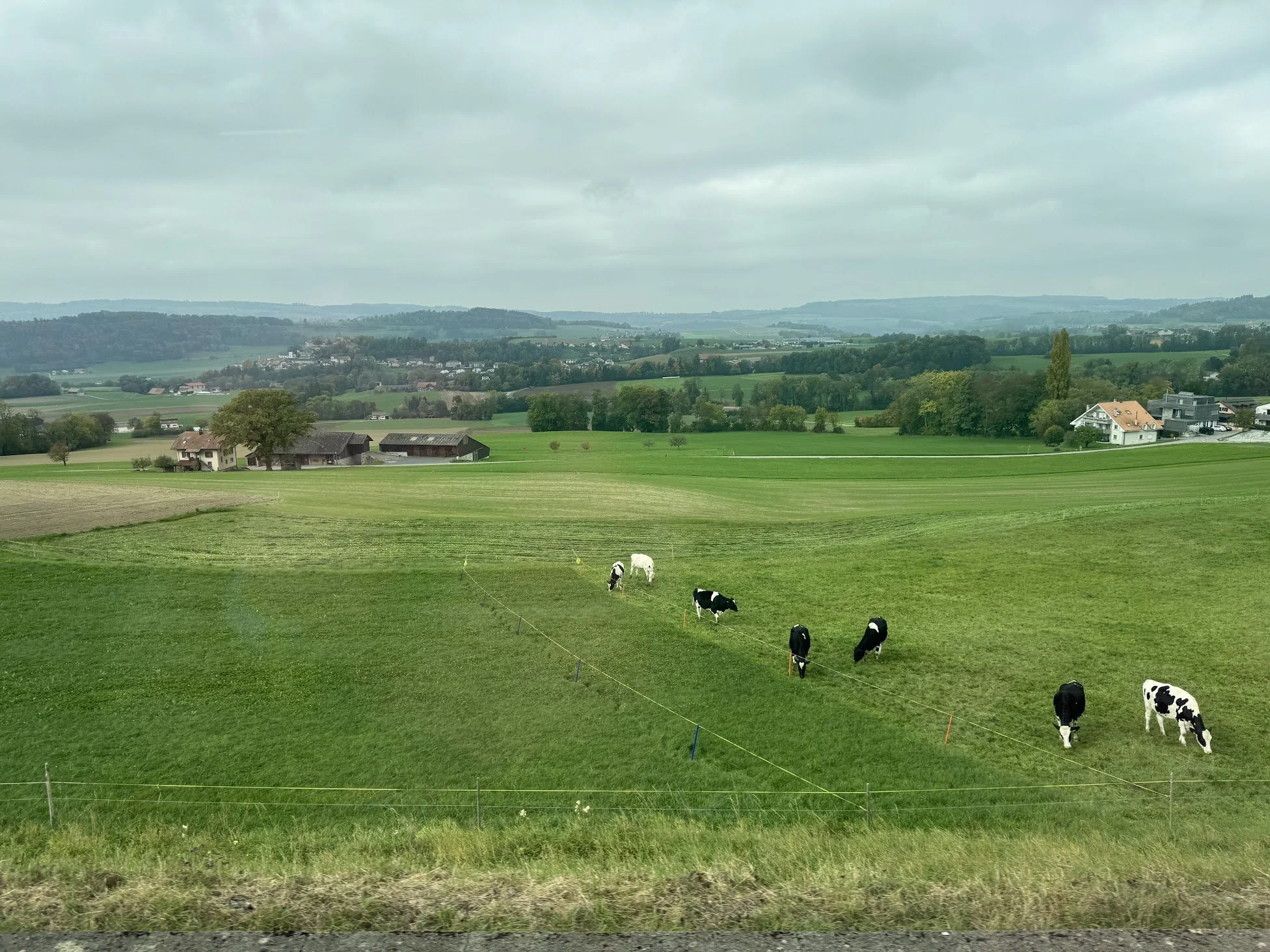 Green pasture with black and white cows grazing, farmhouse and barn in the foreground, rolling hills and houses in the background under a cloudy sky.