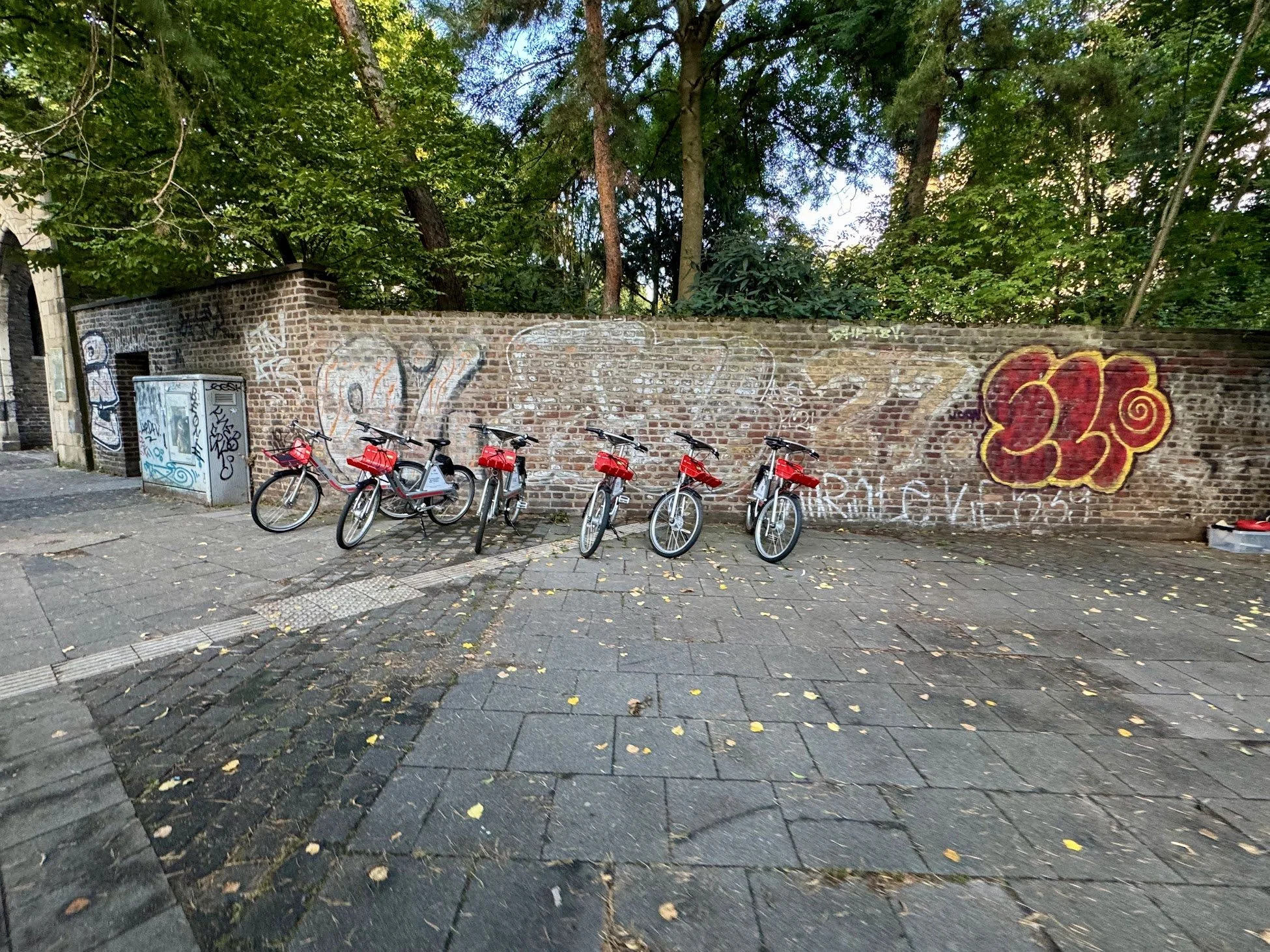 A row of six red bikes parked against a brick wall with graffiti, trees and a sidewalk.