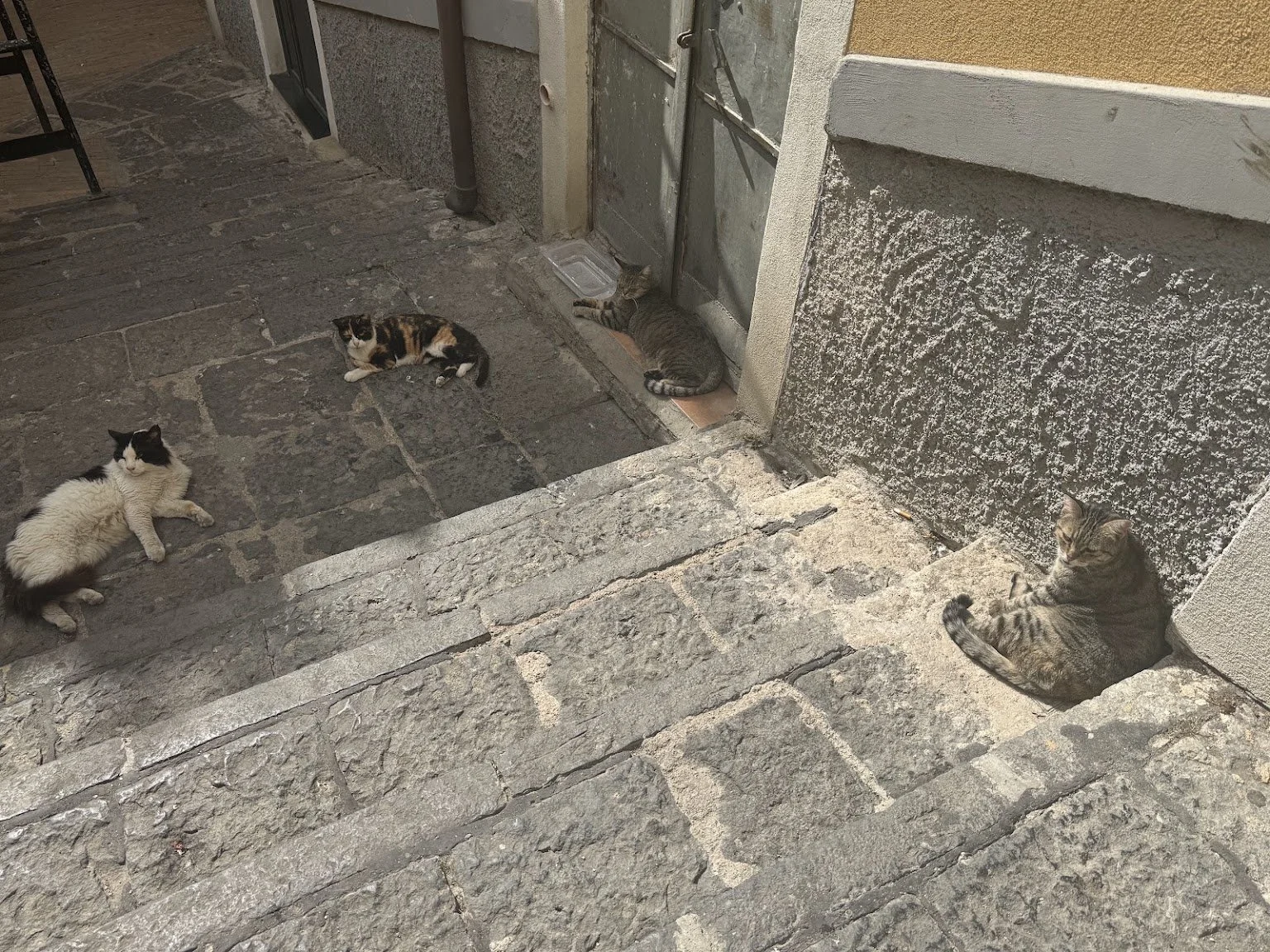 salerno6.jpg