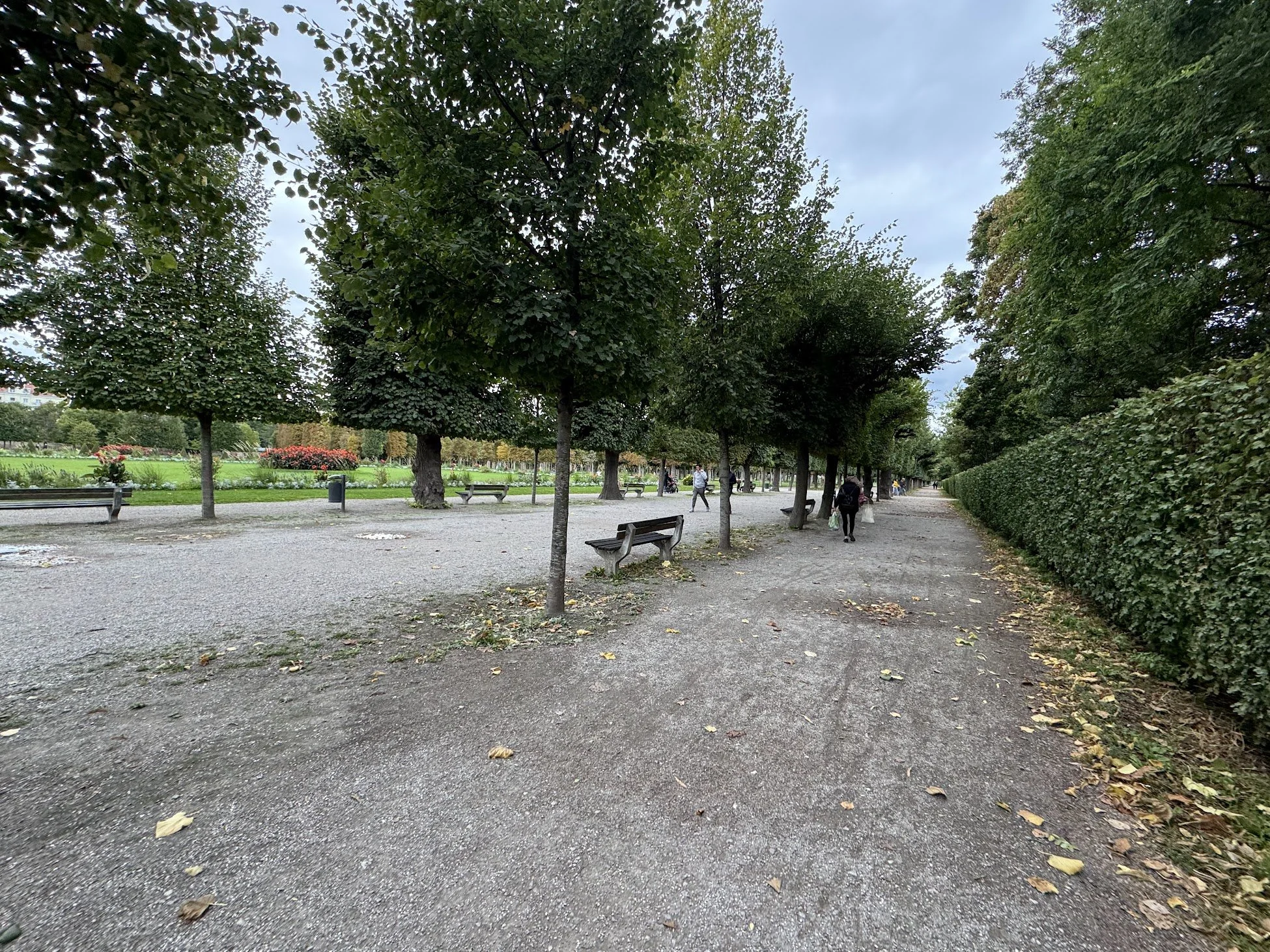 A park pathway lined with lush green trees and bushes, with benches and a few people walking, some with umbrellas, on a cloudy day.