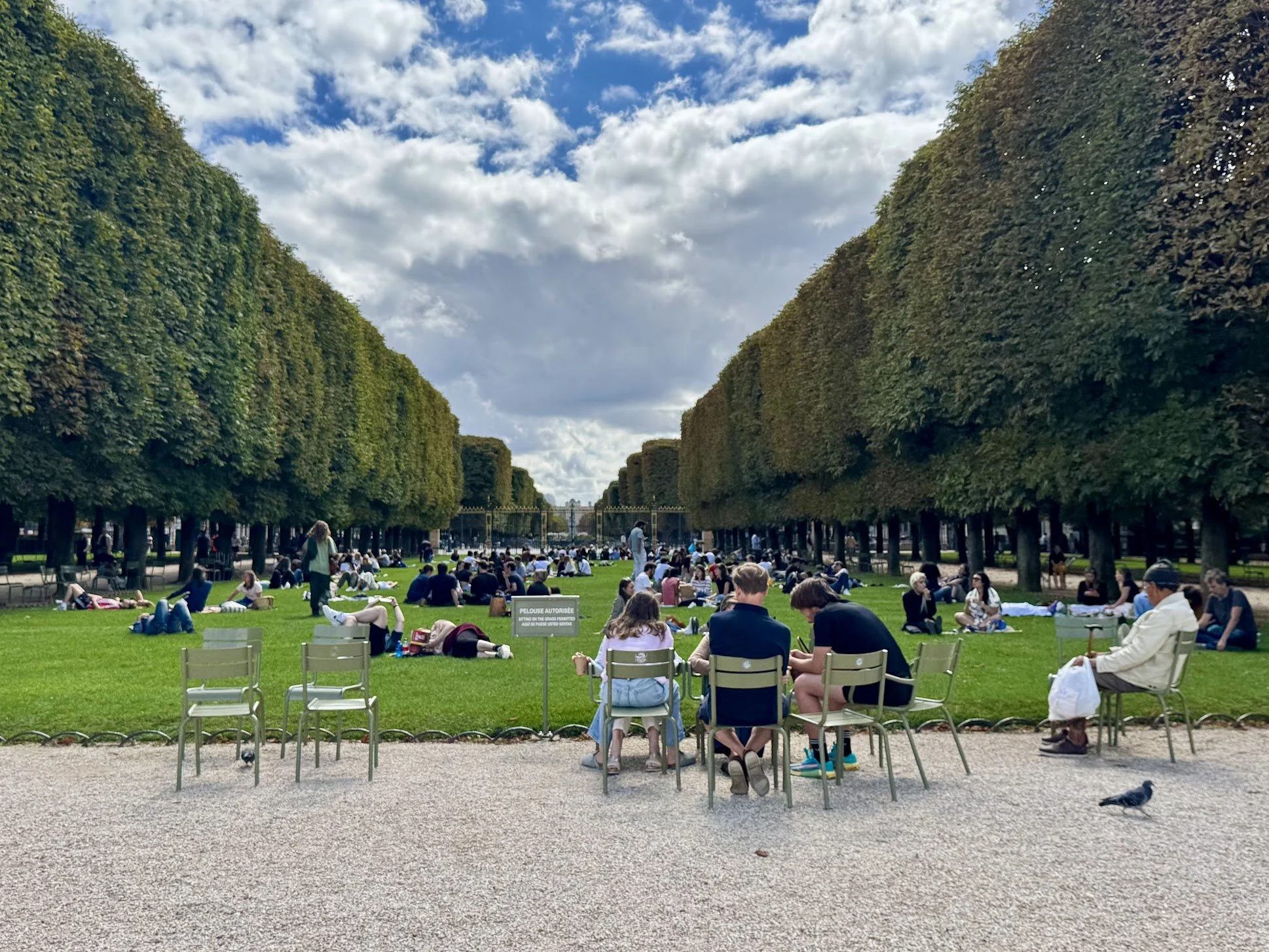 Large open park with green grass, rows of tall trees forming a corridor, and a crowd of people sitting on the grass and seated in chairs, some walking or standing. The sky is partly cloudy with patches of blue.
