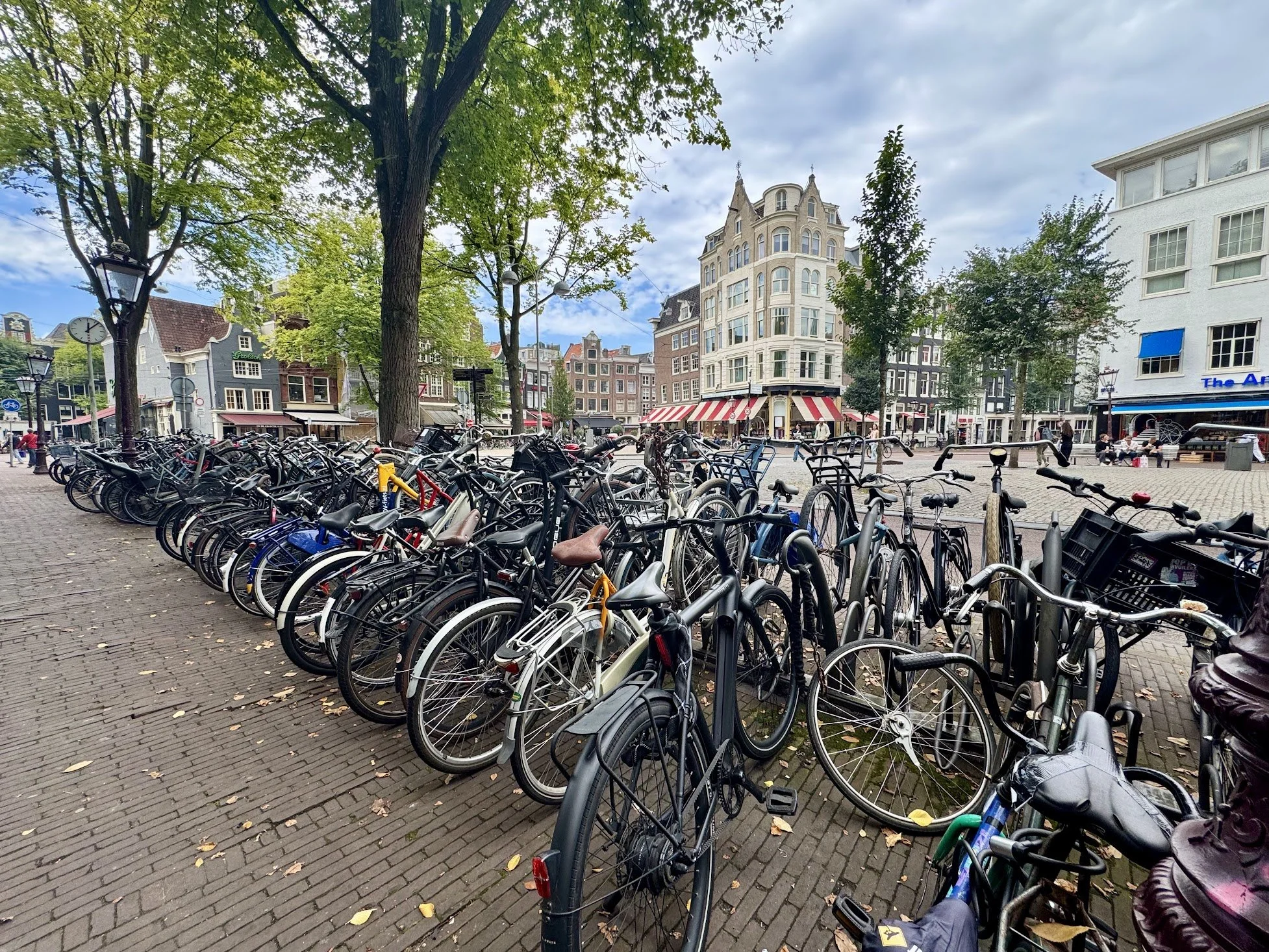 Street scene in a European city with a large tree, parked bicycles, a clock, vintage buildings, and a cloudy sky.