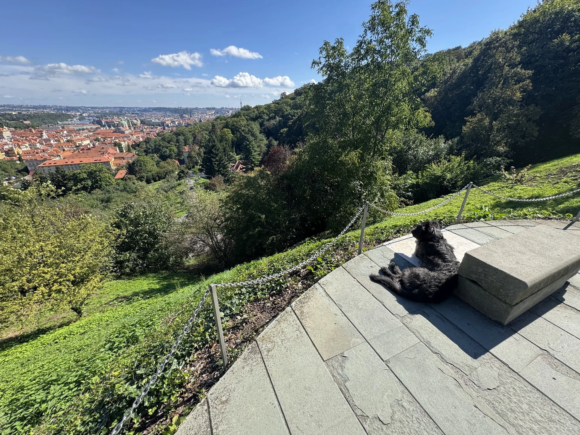 View of a city with red rooftops and green trees, taken from a hillside park. In the foreground, a dog is resting on a concrete ledge near a chain barrier, with blue sky and scattered clouds overhead.