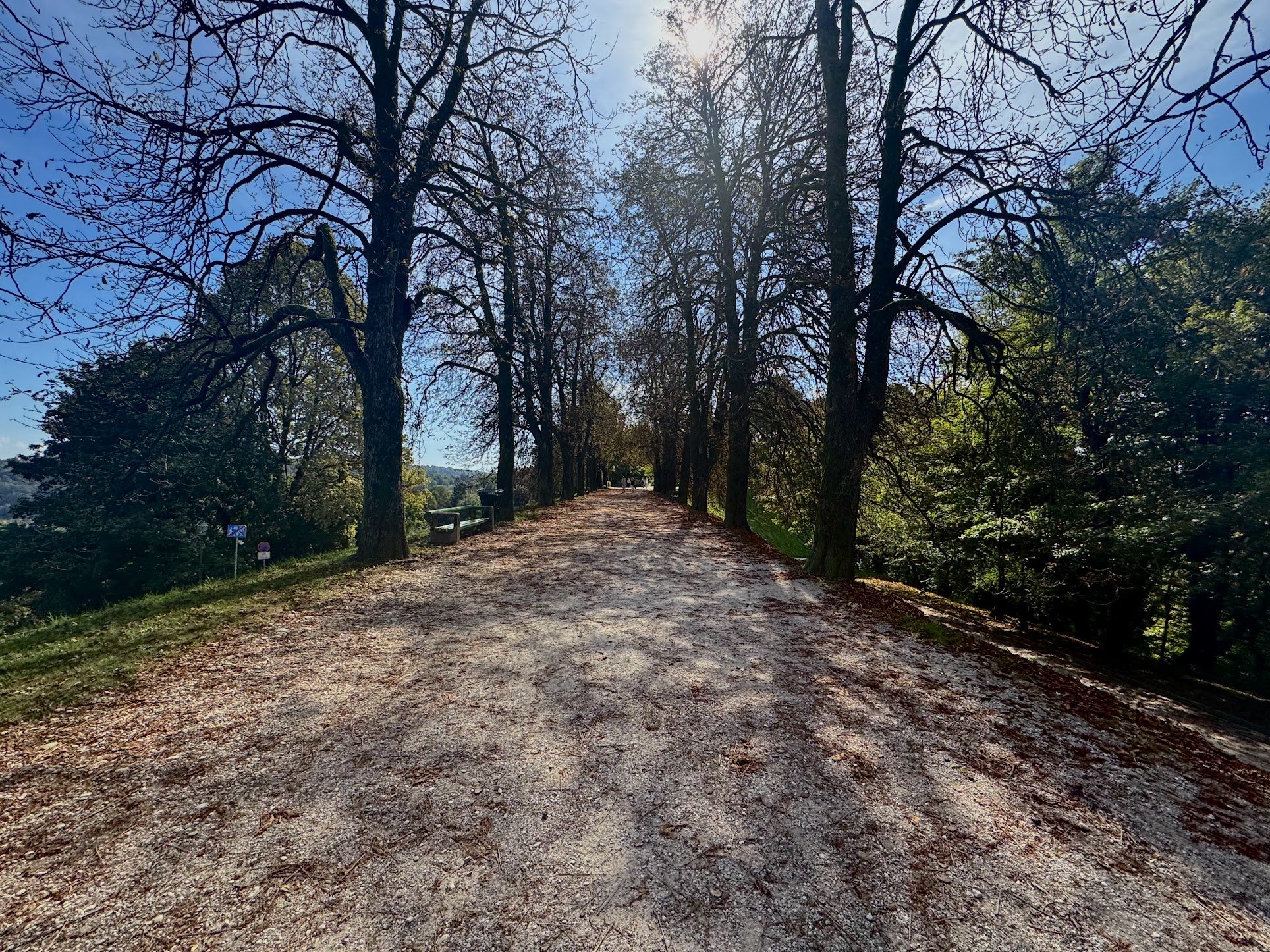 A dirt walking trail in a park lined with tall, leafless trees on a sunny day, with a few people walking in the distance.