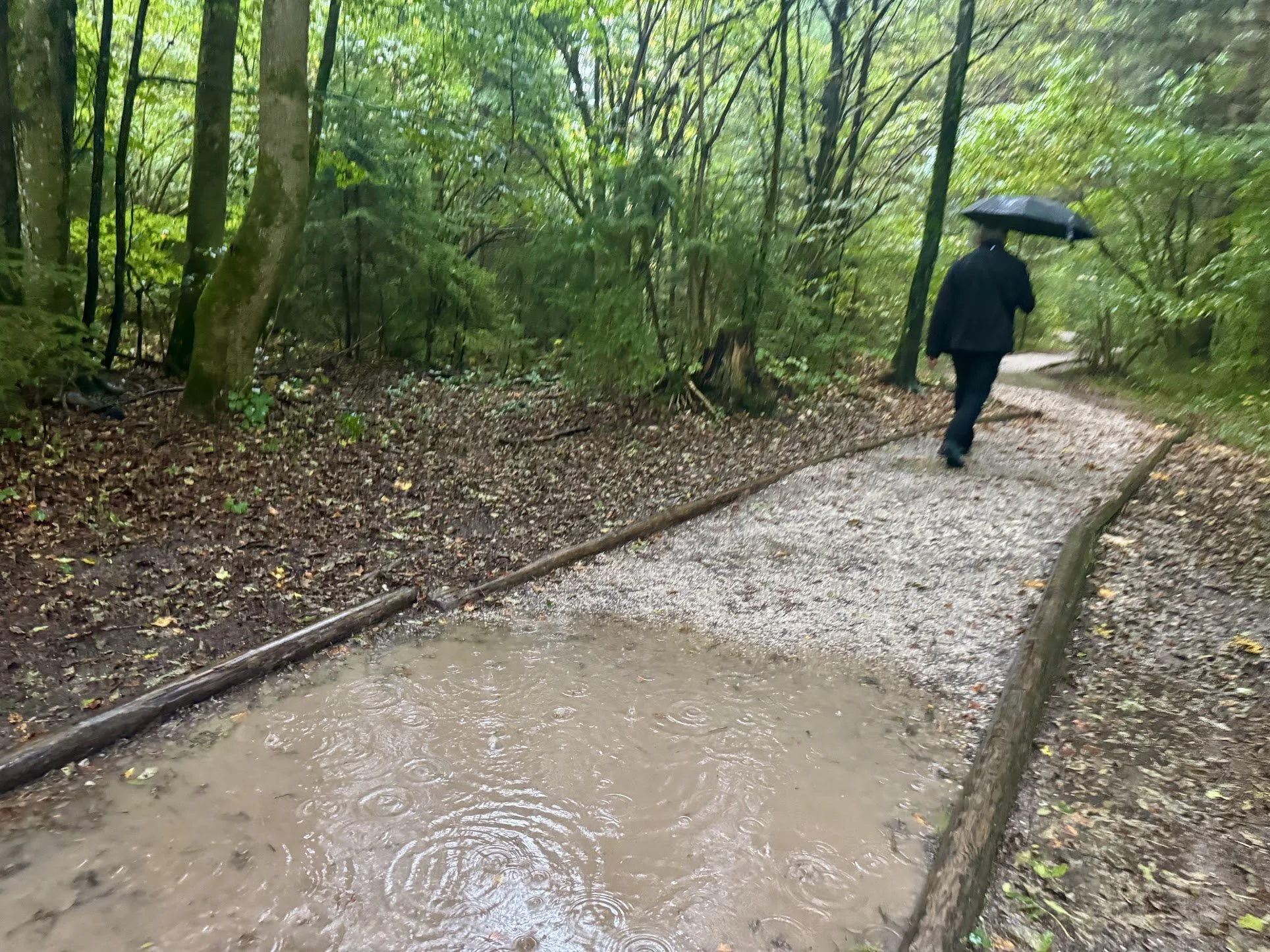 A person walking on a muddy trail in a forest holding an umbrella. The scene appears to be rainy, and there is a water puddle on the trail.