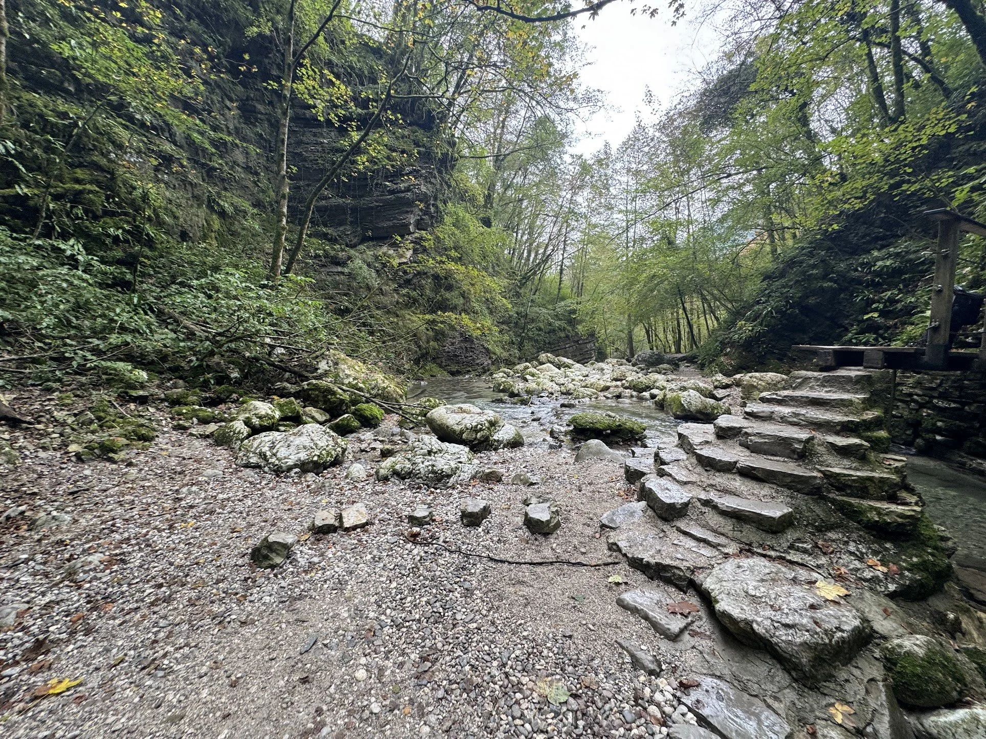A rocky creek running through a forested canyon with trees and green foliage.