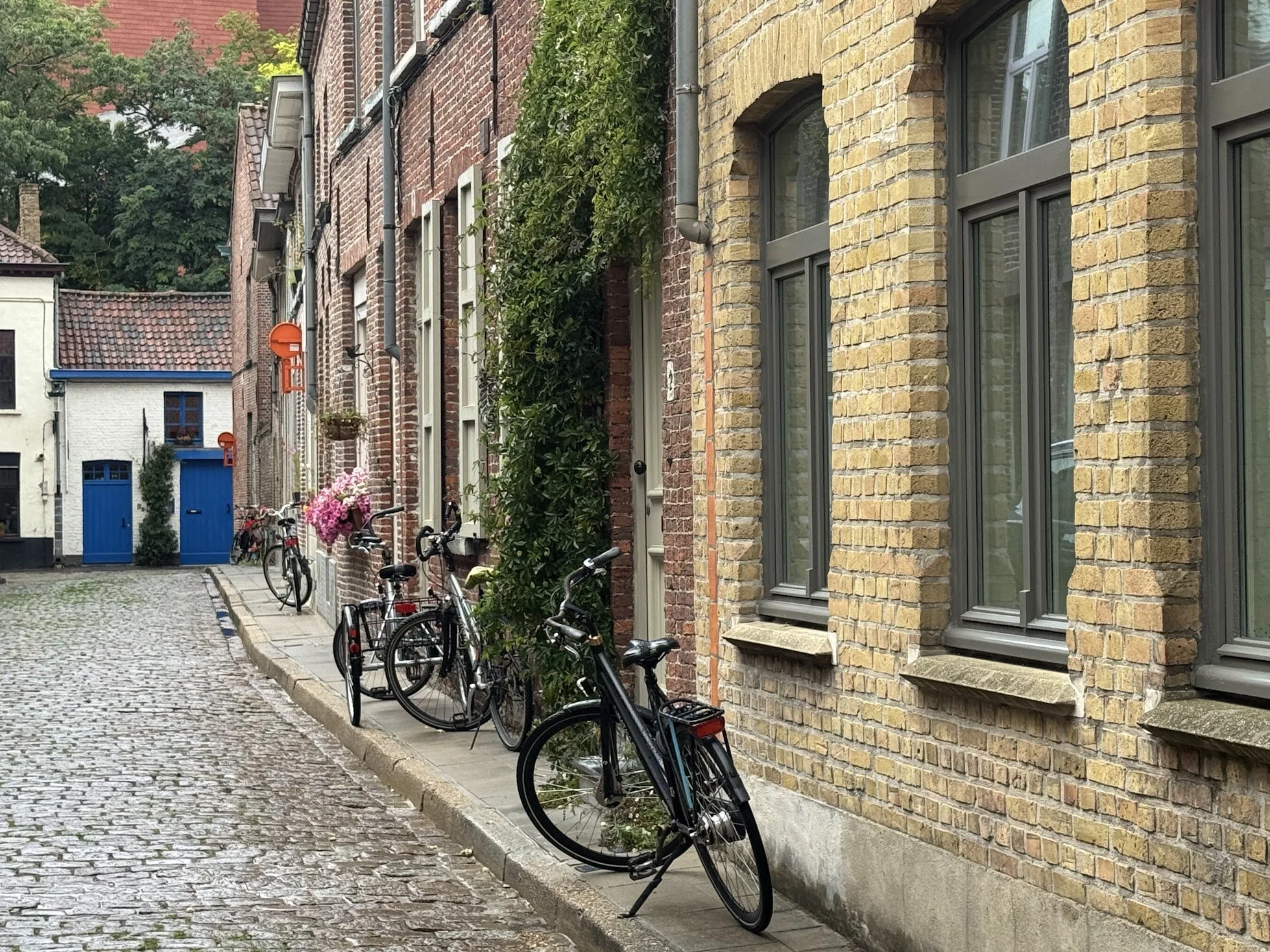 Bicycles parked along a cobblestone sidewalk outside brick townhouses with large windows in a European-style neighborhood.