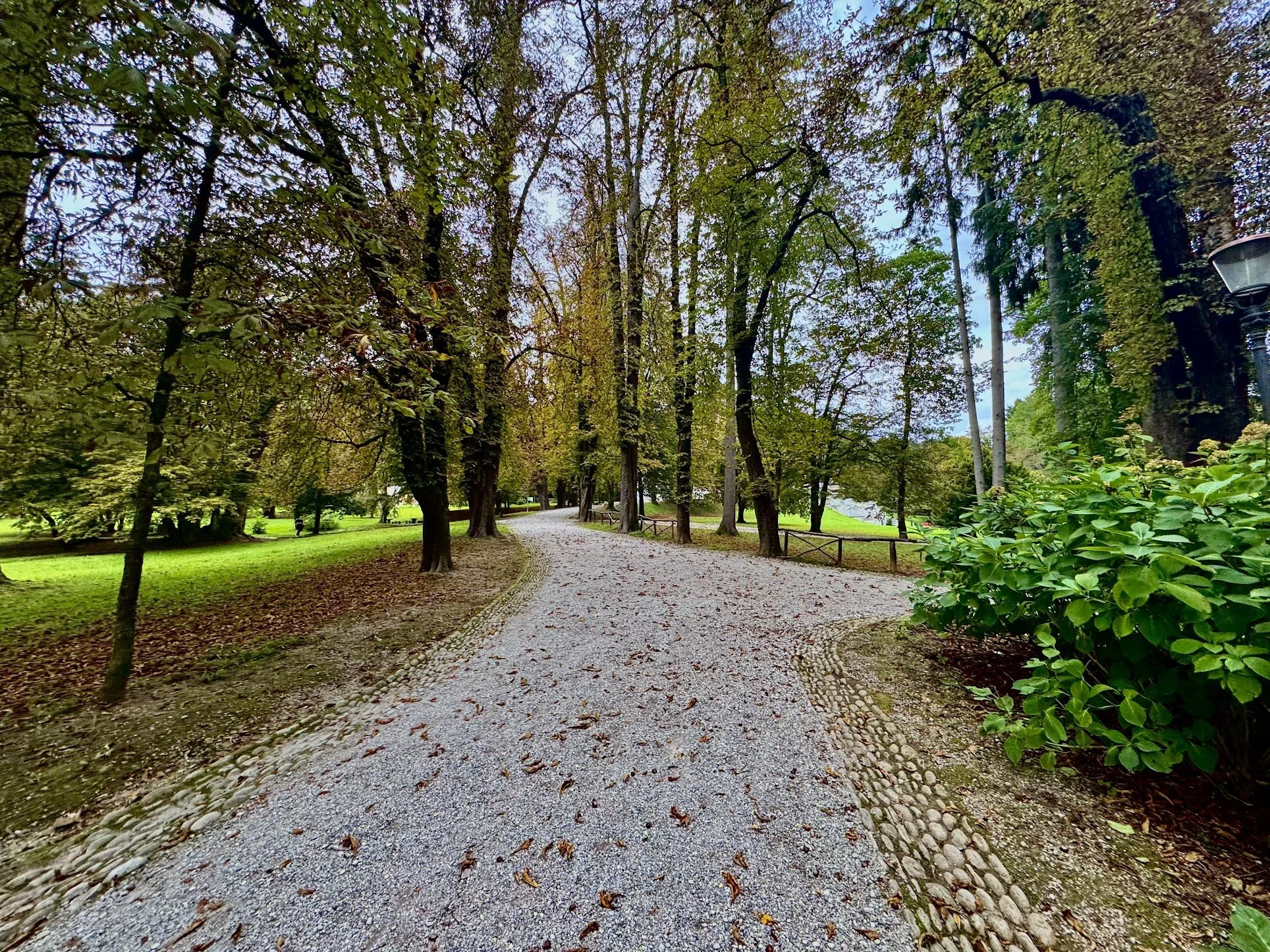 A gravel pathway in a park lined with trees on both sides, with green grass and fallen leaves on the ground, and a lamp post on the right side.