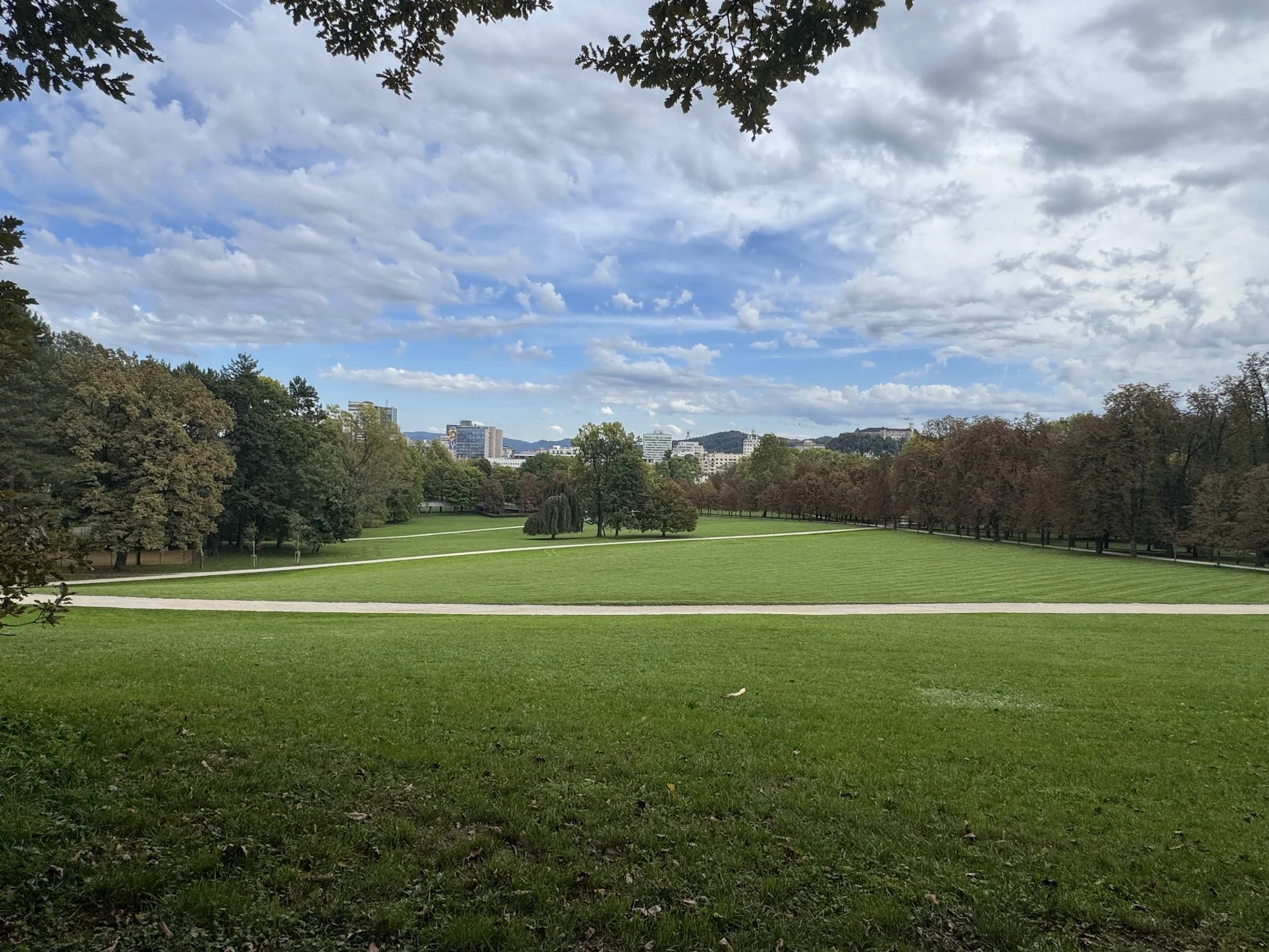 View of a park with a vast grassy area, surrounded by trees with some beginning to change color, and a city skyline with buildings and hills in the background under a partly cloudy sky.