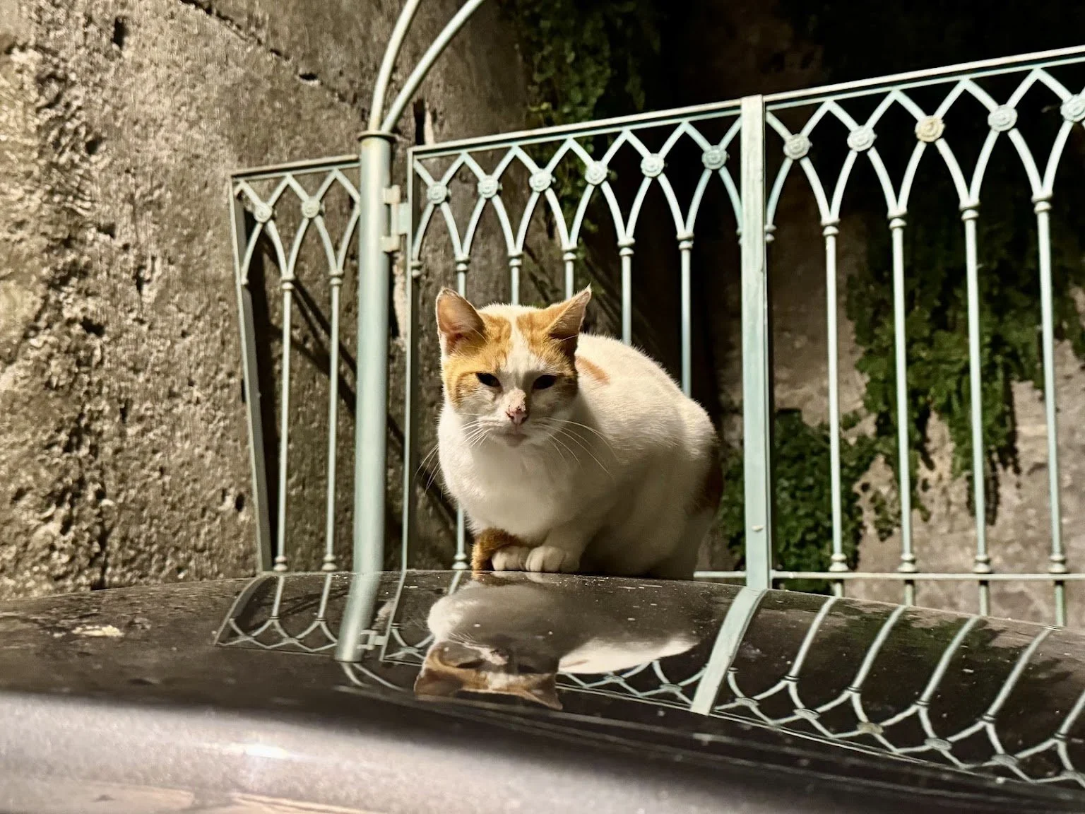 salerno51.jpg