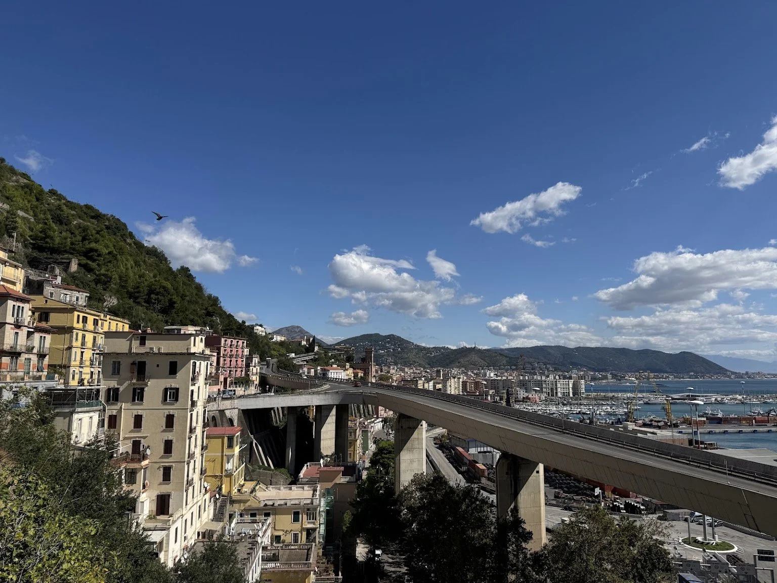 salerno24.jpg