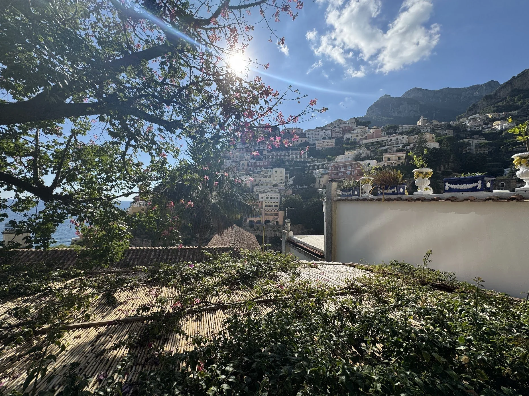 Mountainside village with colorful buildings, lush greenery, flowering trees, and a sunny sky.
