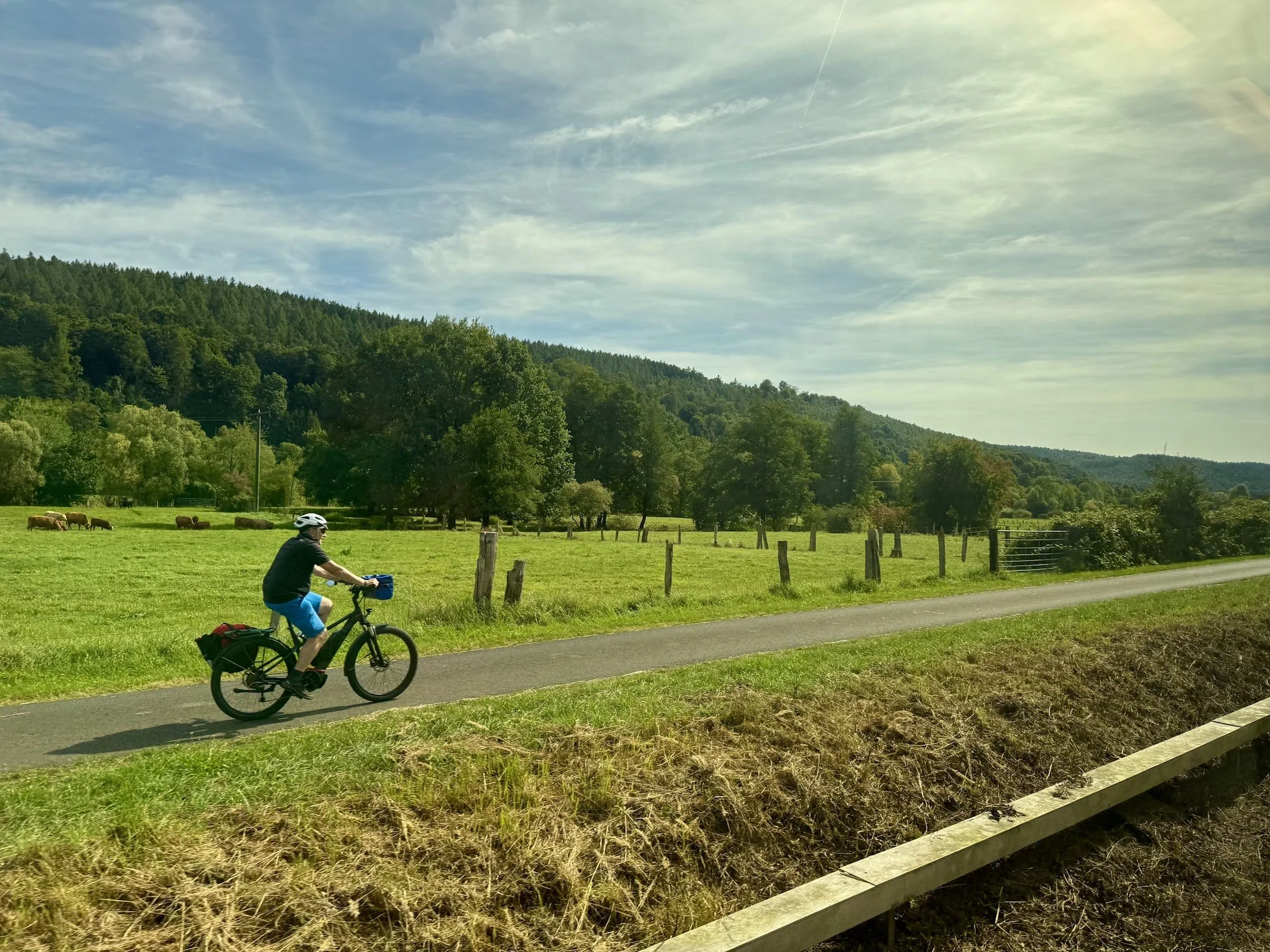 A person riding a bicycle on a paved path next to a green field with grazing cows, with trees and forested hills in the background and a cloudy sky above.