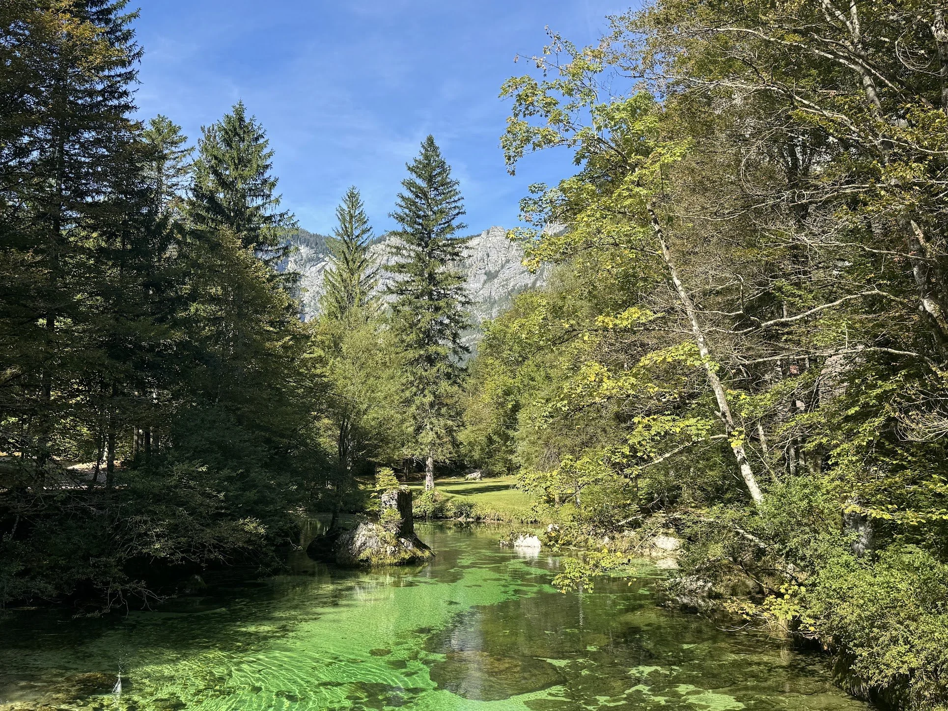 A lush green forest with tall trees, a clear stream with green algae, and a backdrop of mountain cliffs under a blue sky.