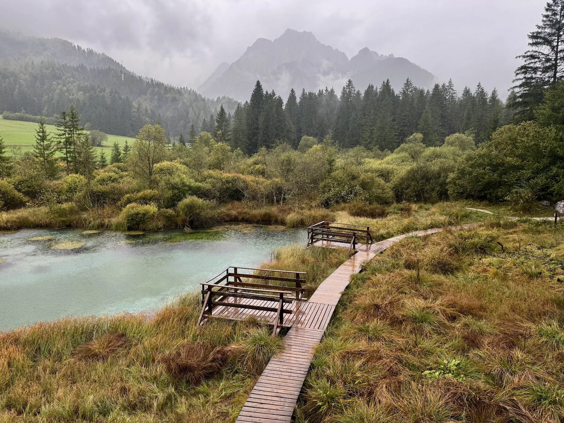 Scenic view of a mountain landscape with a dense forest, a small lake, and a wooden walkway in the foreground on a cloudy day.