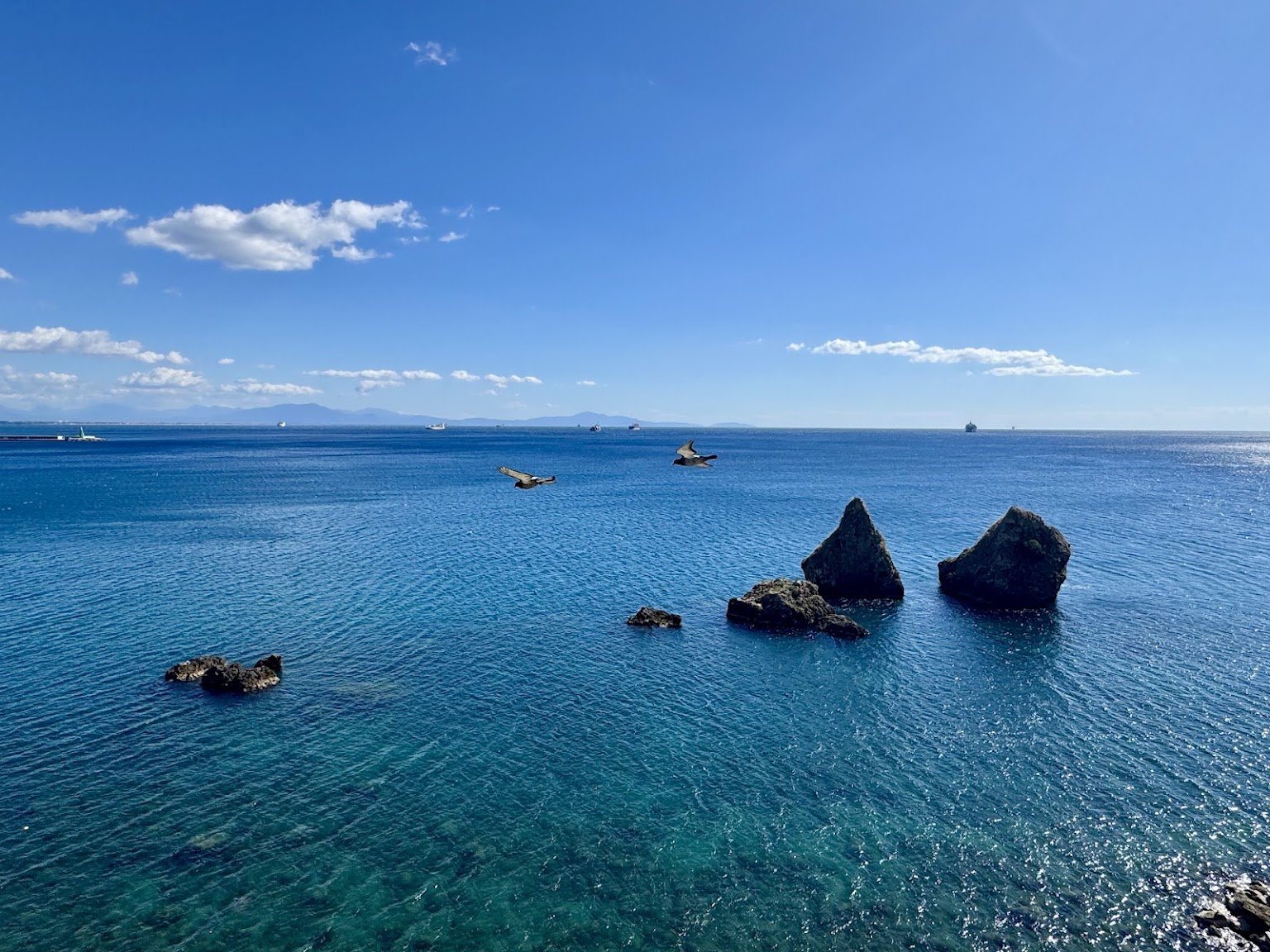salerno37.jpg