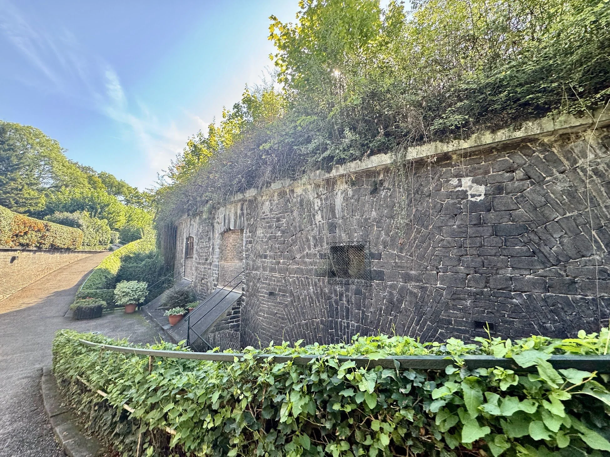 View of a stone wall with Ivy and greenery, under a clear blue sky with sun shining. There are potted plants and a pathway beside the wall.