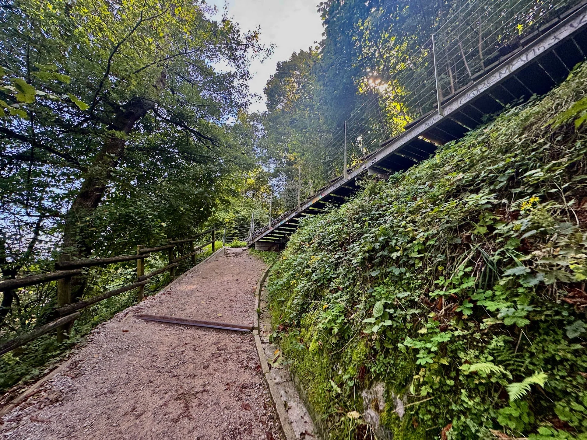 A dirt pathway winding through a forested area with tall trees and dense green foliage. A metal bridge with guardrails crosses over the path on the right side of the image. Sunlight filters through the trees, illuminating parts of the scene.