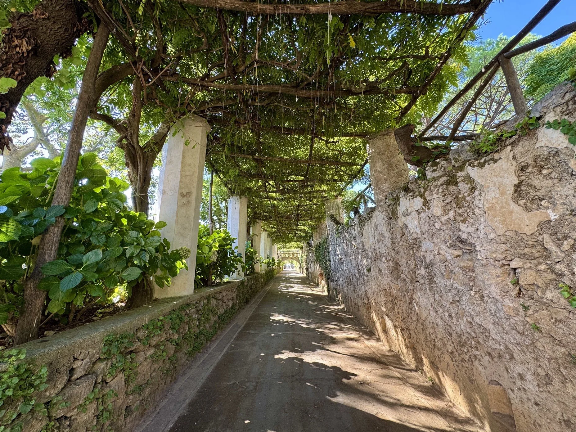 A shaded stone pathway flanked by a stone wall on one side and a row of white columns supporting a vine-covered trellis on the other, with lush greenery and trees overhead.