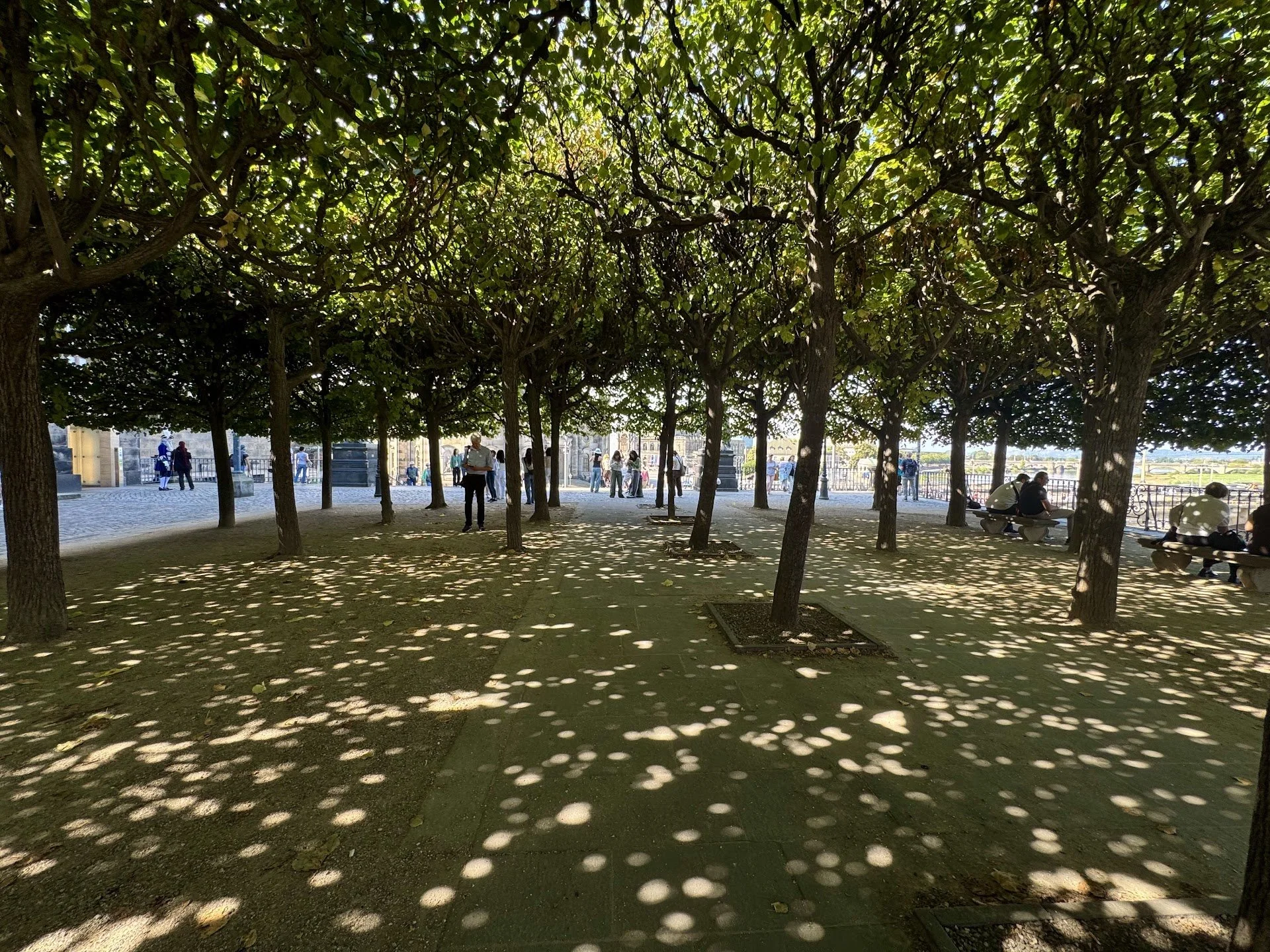 View of a park with a shaded area created by trees, people walking and sitting on benches, a river in the background, and sunlight creating dappled shadows on the ground.