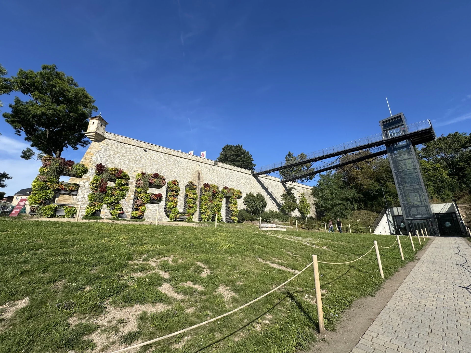 A stone wall with colorful flowers planted along it, surrounded by a grassy area, with a large tree on the left and a tall glass elevator on the right, under a clear blue sky.